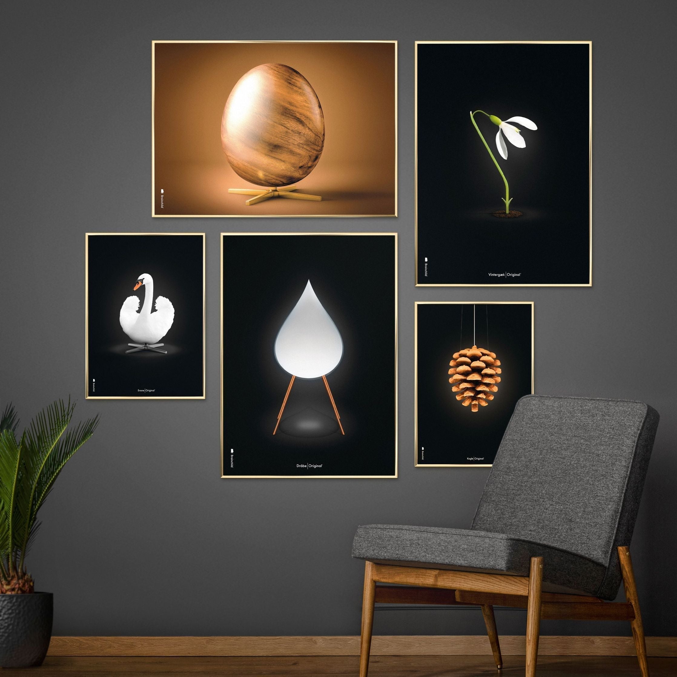 [product_category]-Brainchild Snowdrop Classic Poster, Frame Made Of Dark Wood 50x70 Cm, Black Background-Brainchild-63003-B-BRA-7