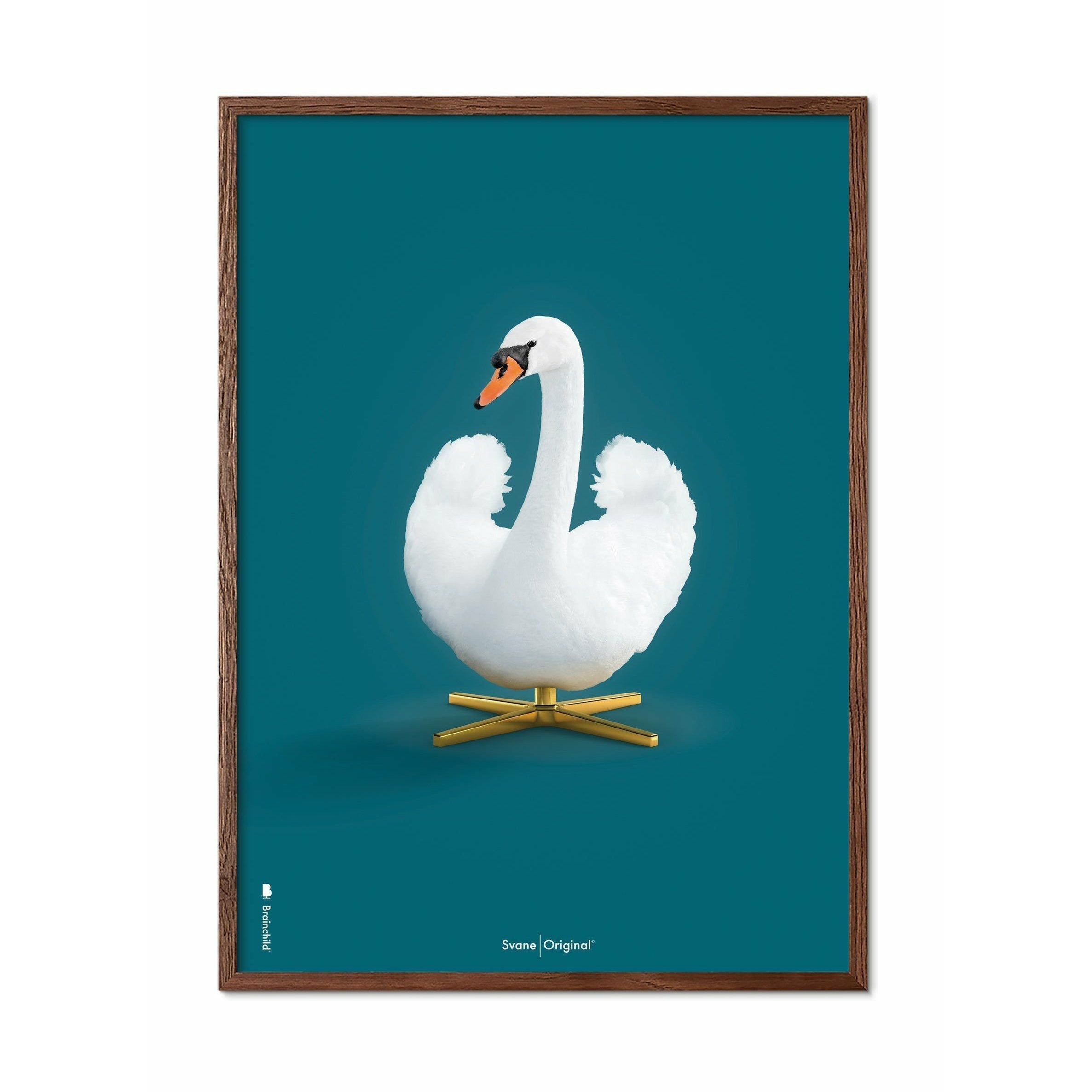 [product_category]-Brainchild Swan Classic Poster, Dark Wood Frame A5, Petroleum Blue Background-Brainchild-34001-B-BRA-1