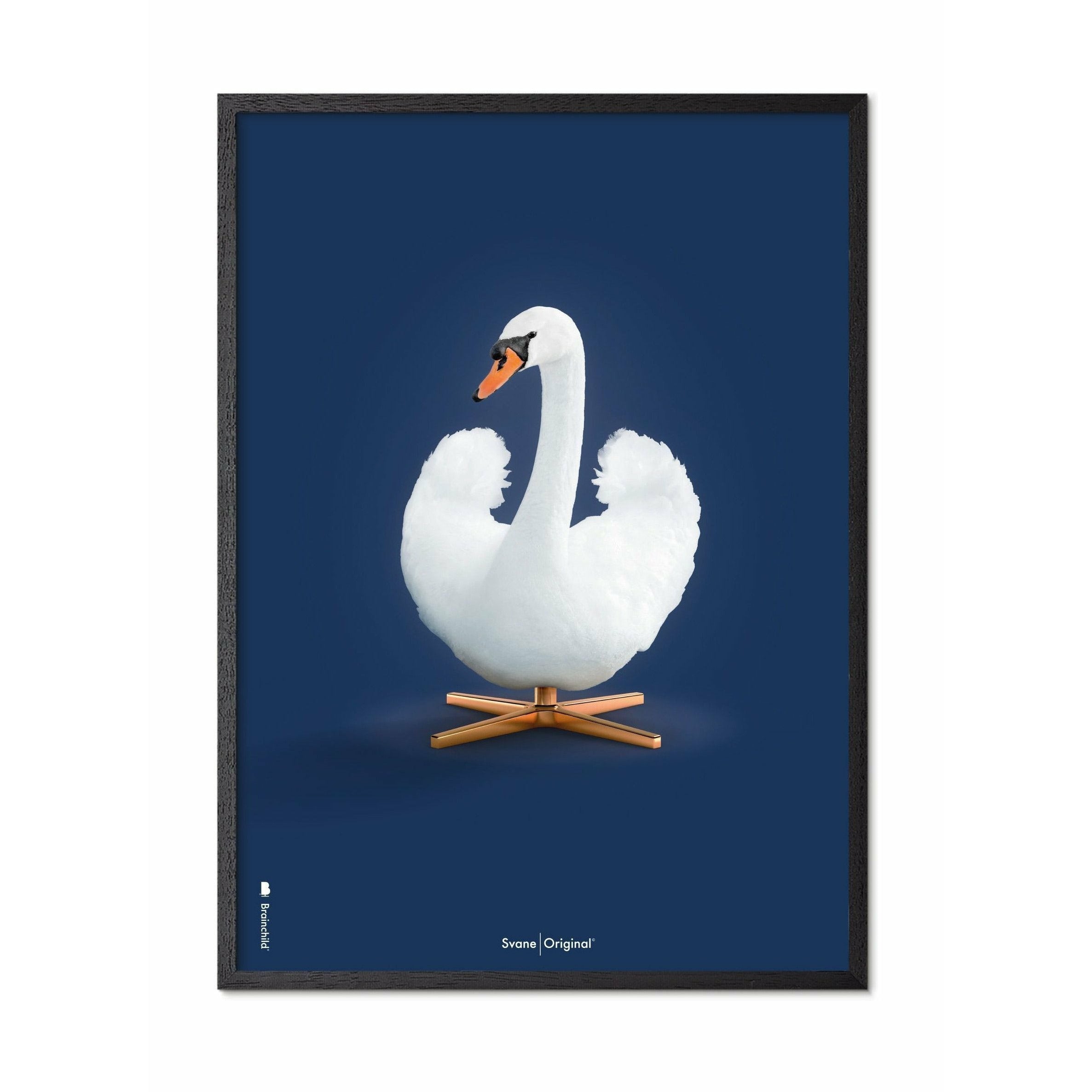 [product_category]-Brainchild Swan Classic Poster, Frame In Black Lacquered Wood 50x70 Cm, Dark Blue Background-Brainchild-35003-C-BRA-1