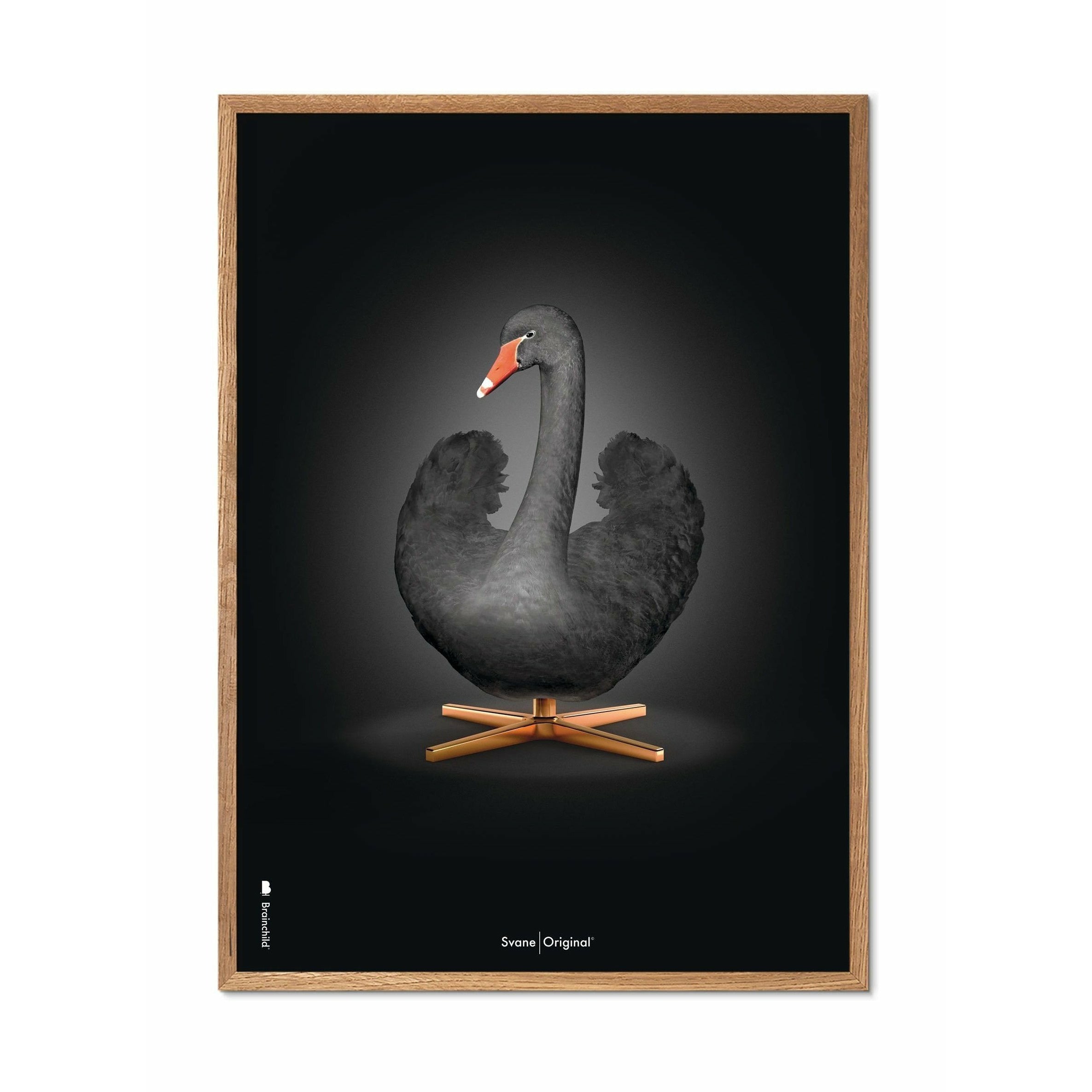 [product_category]-Brainchild Swan Classic Poster, Frame Made Of Light Wood 70x100 Cm, Black/Black Background-Brainchild-31004-A-BRA-1