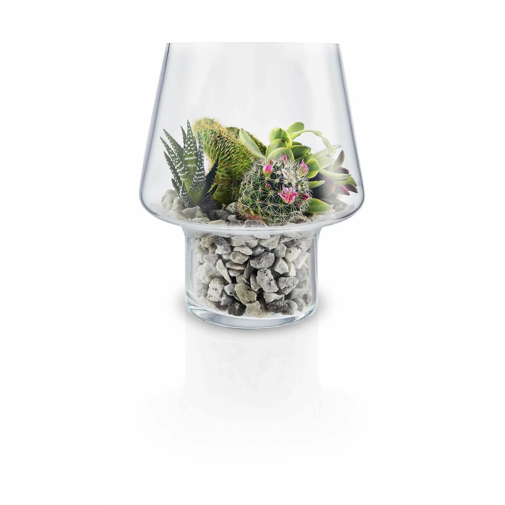 [product_category]-Eva Solo Sukkulenten-Glasvase, Ø15 Cm-Eva Solo-568187-EVA-2
