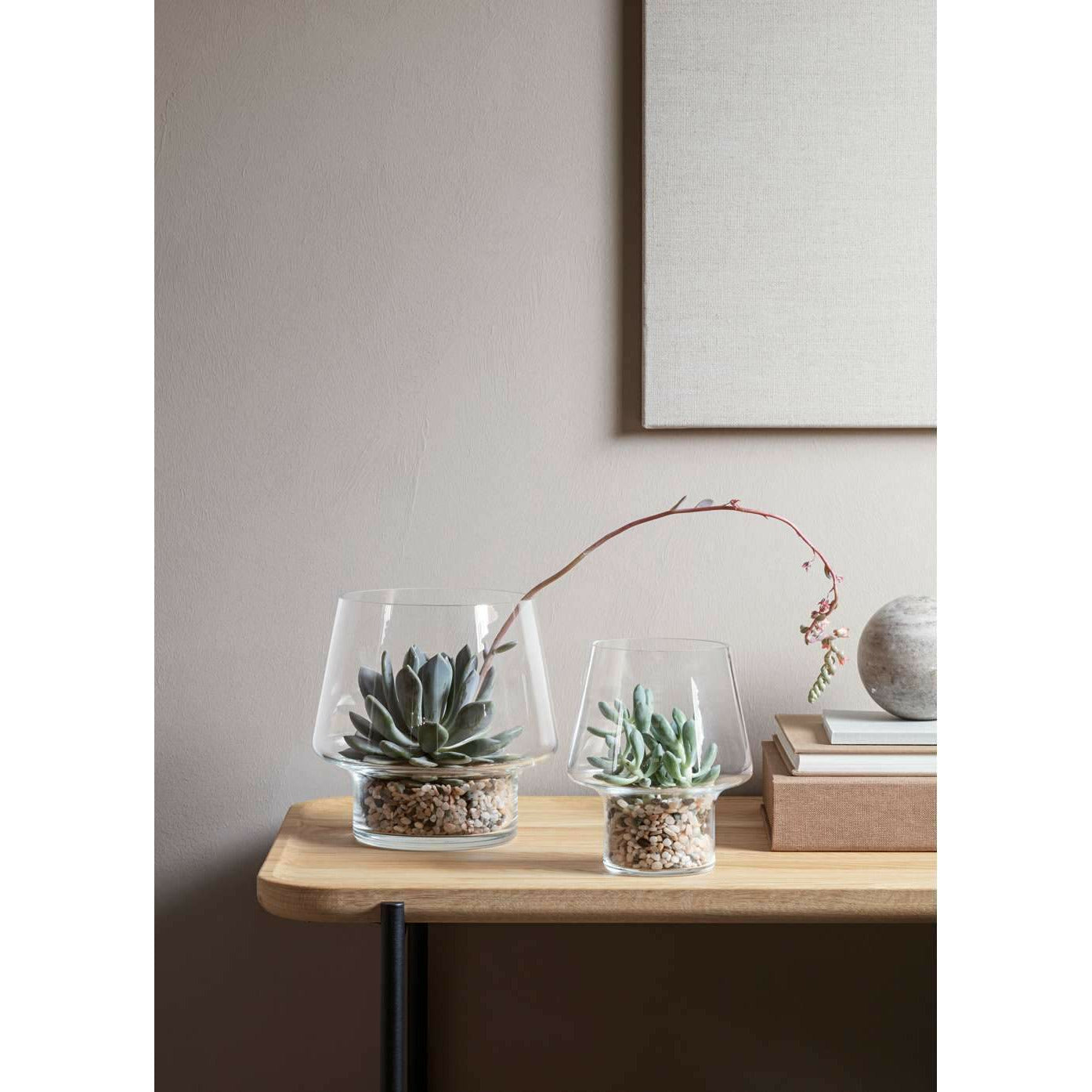 [product_category]-Eva Solo Sukkulenten-Glasvase, Ø15 Cm-Eva Solo-568187-EVA-4