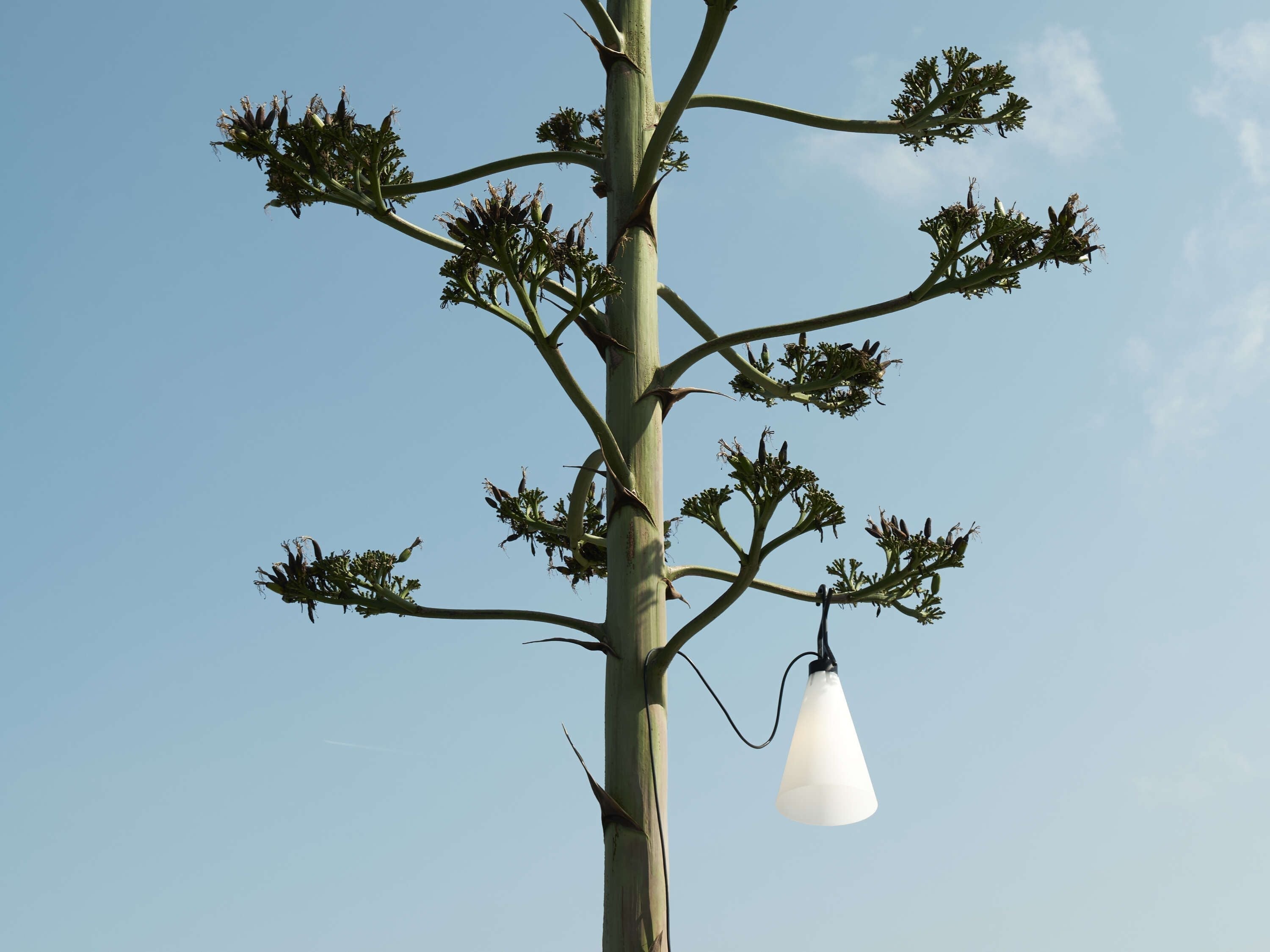 [product_category]-Flos Mayday Outdoor Allzweckleuchte, Leaf Green-Flos-8059607611074-F038AACA0ZZ-FLO-3