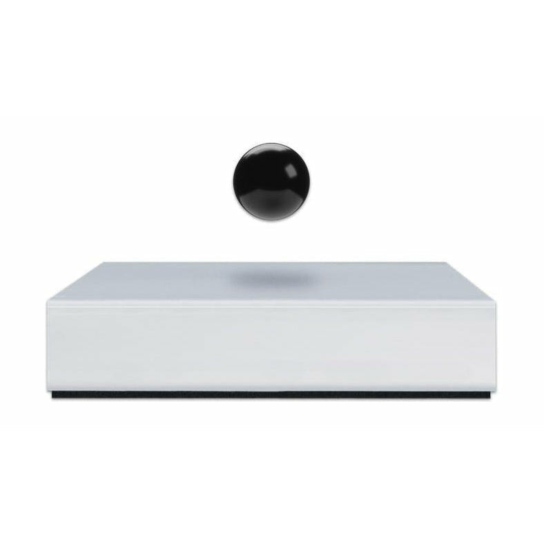 [product_category]-Flyte Buda Ball, Plate White/Ball Black-Flyte-5060455391554-01-BUDA-BALL-V1-1-FLY-1