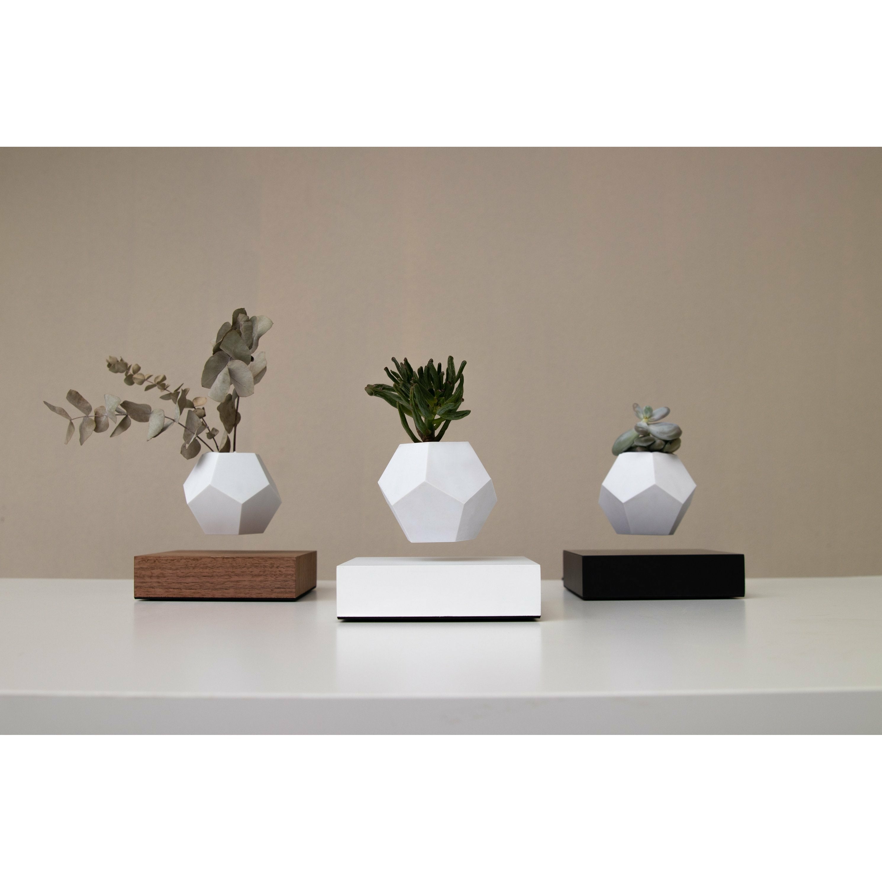 [product_category]-Flyte Lyfe Plant, Walnut-Flyte-5060455391707-01-LWAL-MUL-V1-0-FLY-2