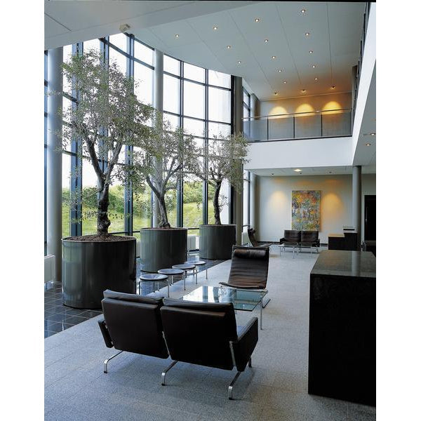 [product_category]-Fritz Hansen Pk20 Lounge Chair, Walnut Leather-Fritz Hansen-PK20-walnute-FRI-1