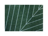 HEYMATTOU ROOUMAT ONE DEON, 85x115CM