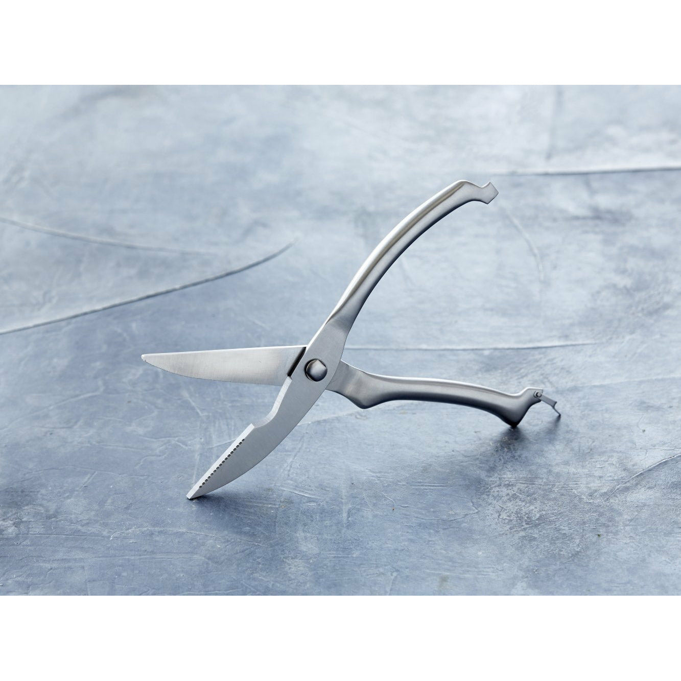 [product_category]-Holm Poultry Shear-Holm-5722001008292-100829-HOL-2