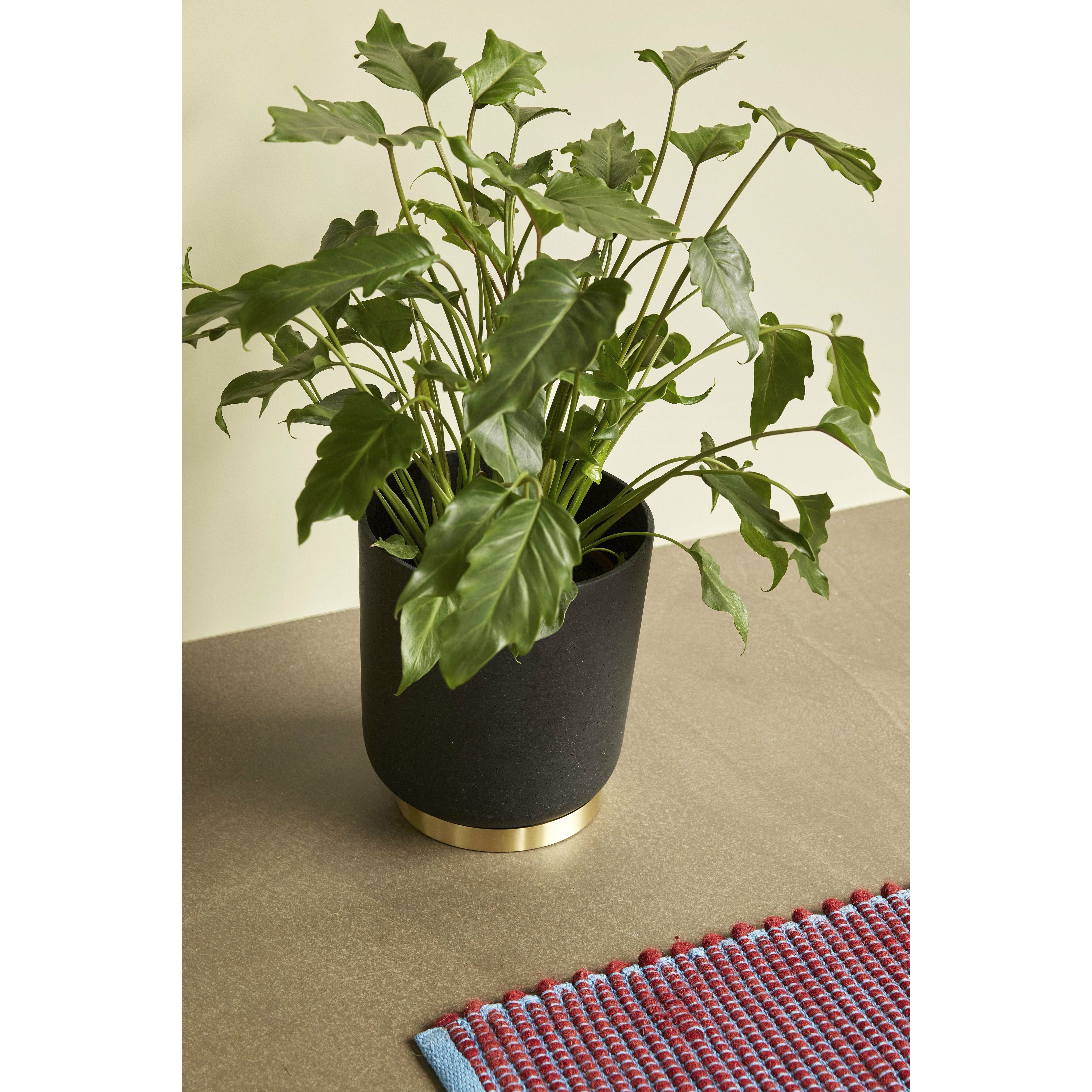 [product_category]-Hübsch Embrace Coaster Metal Brass Set Of 3-Hübsch-5712772072721-991124-HUB-6
