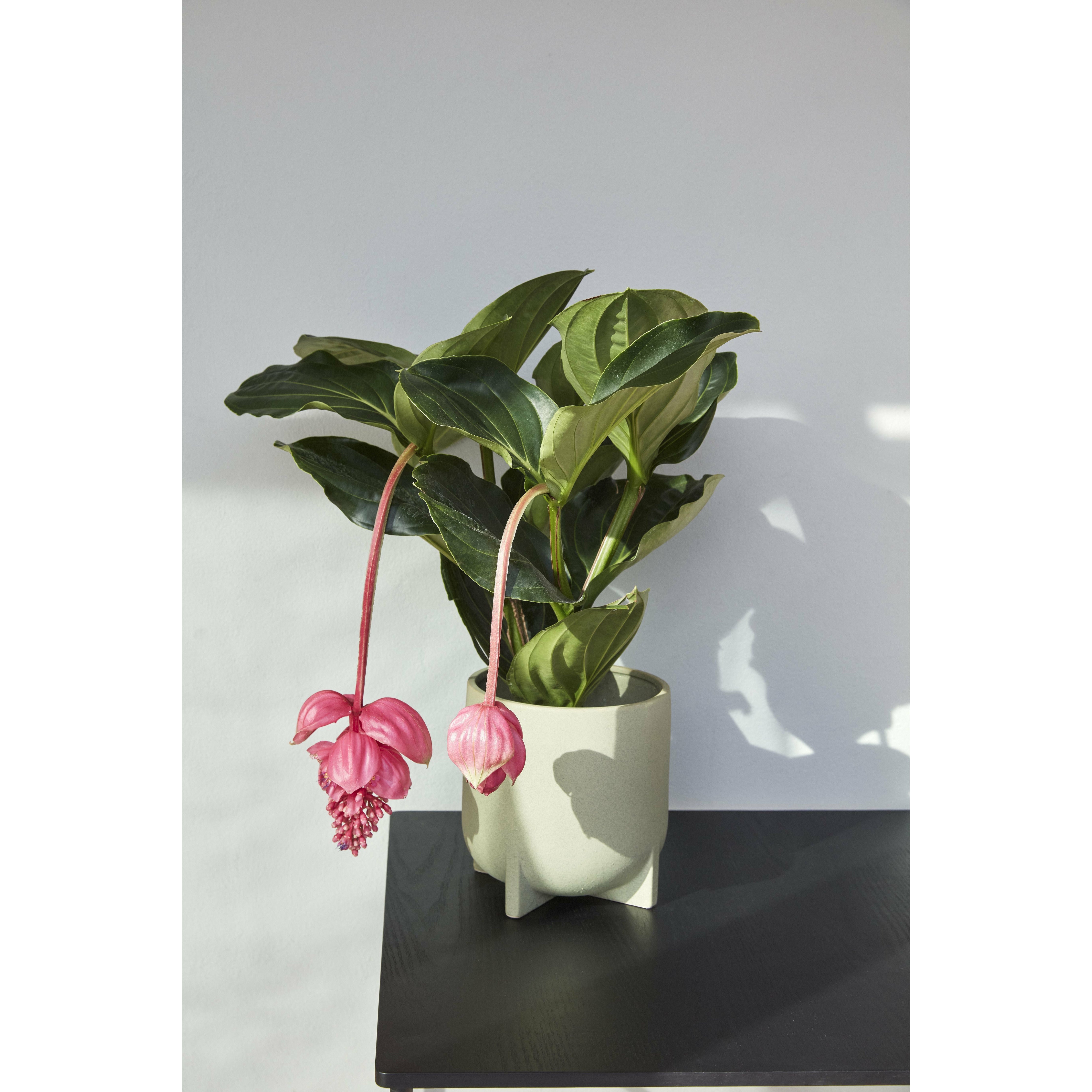 [product_category]-Hübsch Split Pot Ceramic Green Set Of 2-Hübsch-5712772110560-671305-HUB-8