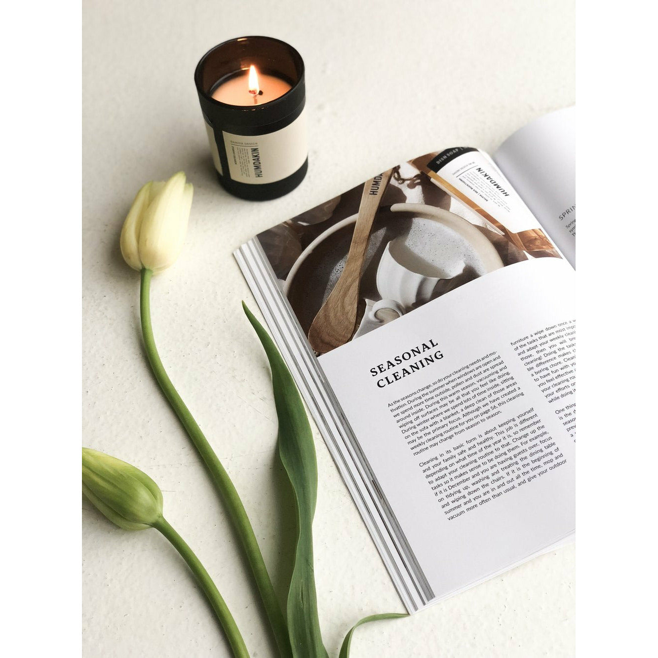 [product_category]-Humdakin Book: The Art Of Organizing, Cleaning And Styling-Humdakin-5713391007934-246-HUM-2