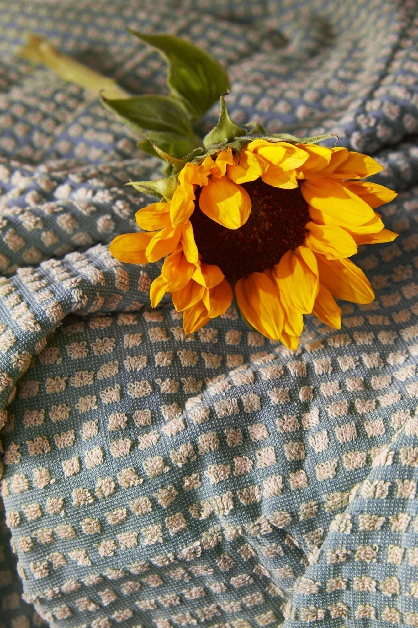 [product_category]-Juna Check Towel 50x100 Cm, Light Blue/Sand-Juna-5713397140758-614075-JUN-8