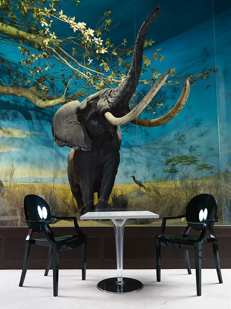 [product_category]-Kartell Top Top Table Glass 160x80 Cm, Black-Kartell-8058967042399-0425509-KAR-5