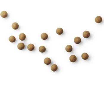 [product_category]-Lakrids By Bülow A The Original, 12 Grams-Lakrids By Bülow-5710858001702-500170-LAK-2