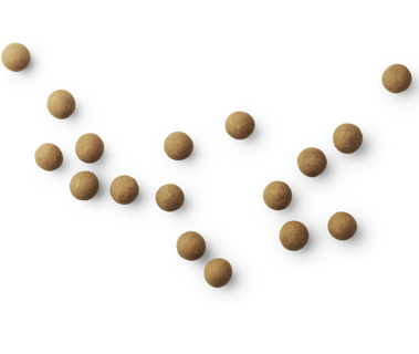 [product_category]-Lakrids By Bülow A The Original, 125 Grams-Lakrids By Bülow-5710858000705-500070-LAK-2