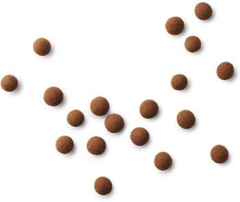 [product_category]-Lakrids By Bülow C Coffee Kieni, 12 Grams-Lakrids By Bülow-5710858001719-500171-LAK-4