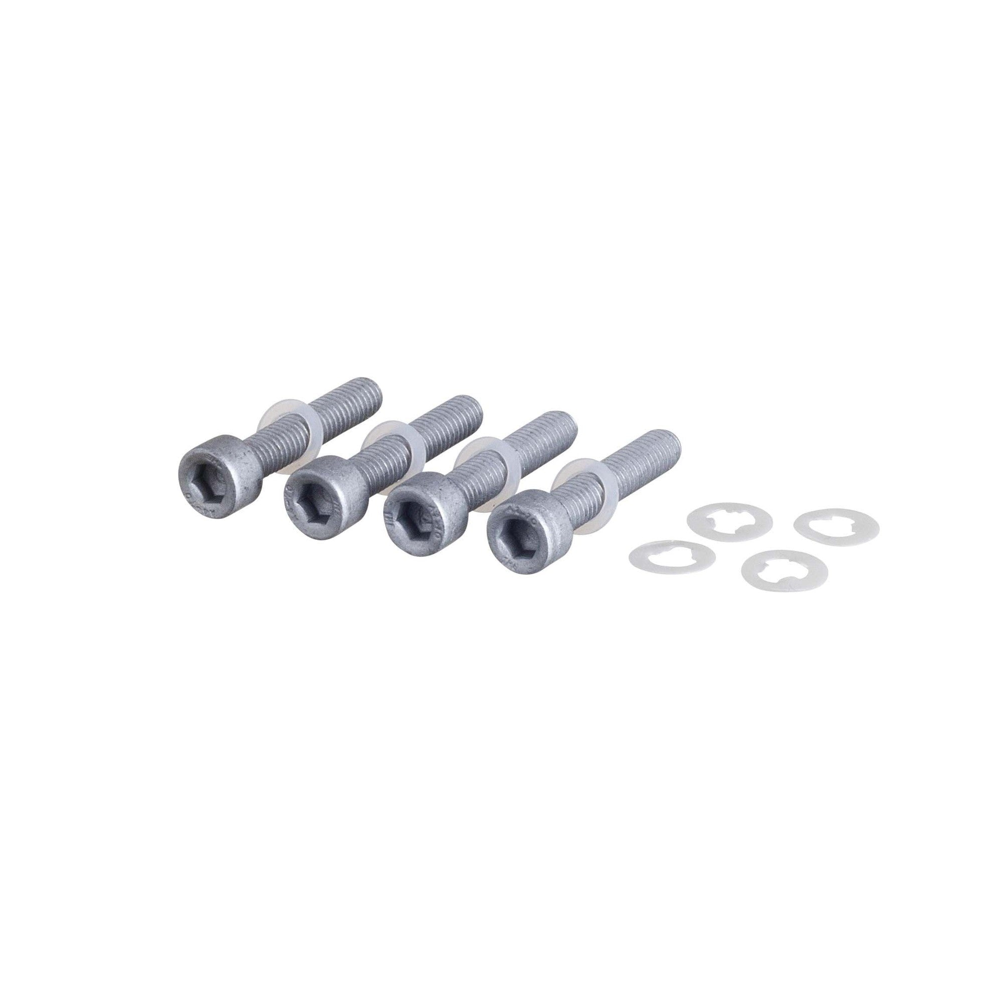 [product_category]-Louis Poulsen Skot Aluminium Screw Allen M6x30 4 Pieces-Louis Poulsen-5703411202203-5743146572-LOU-1