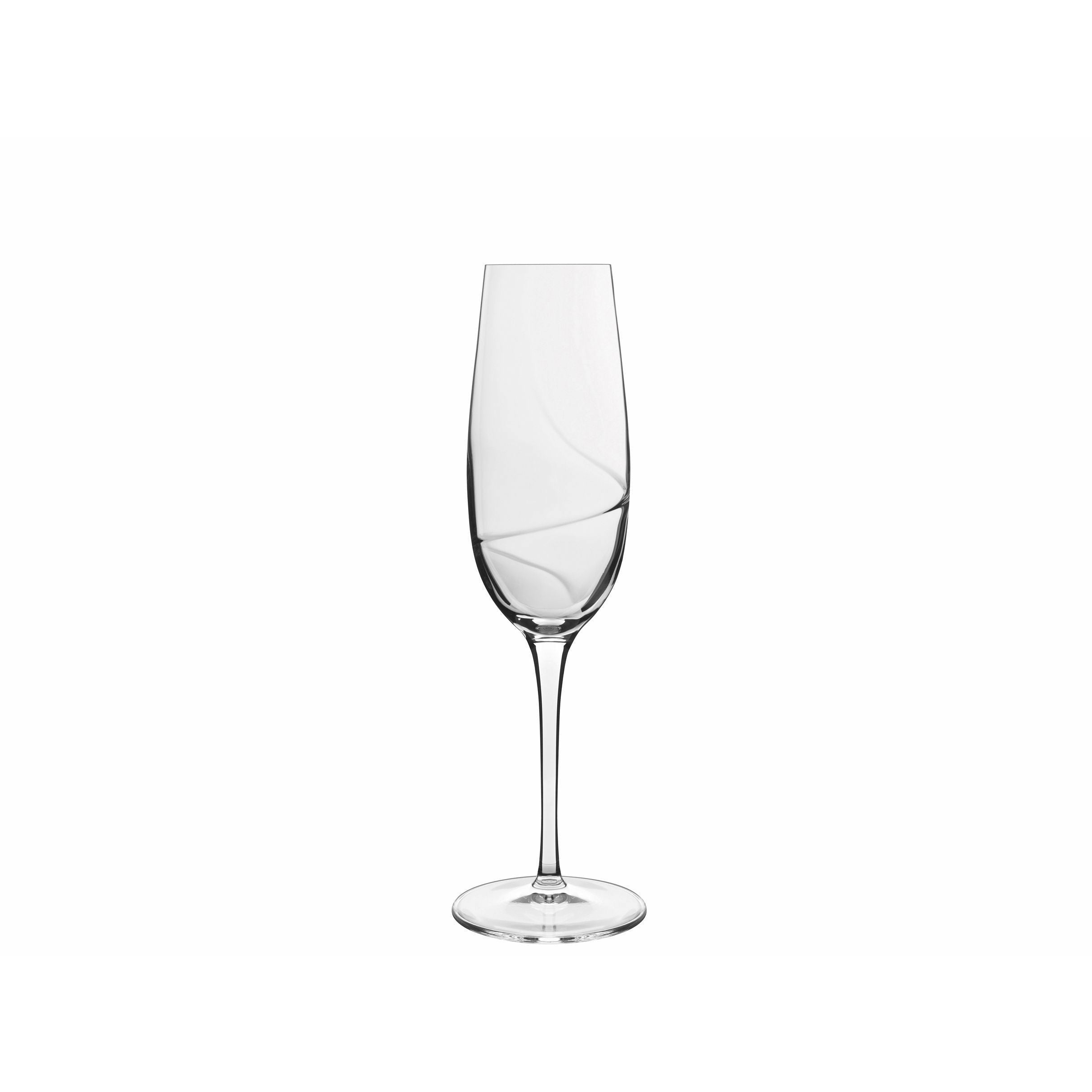 [product_category]-Luigi Bormioli Aero Champagne Glass, Set Of 6-Luigi Bormioli-032622020494-17036-LUI-2