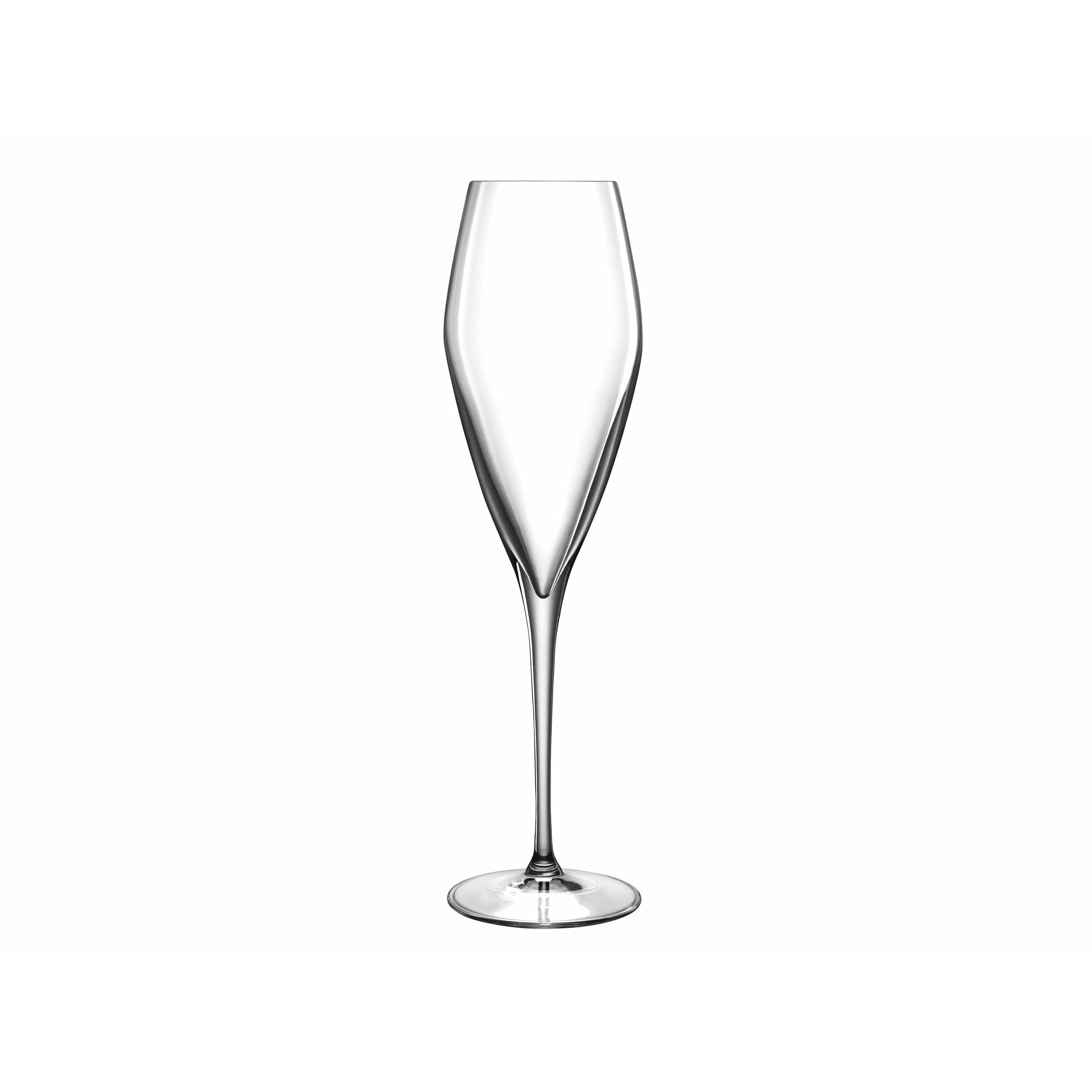 [product_category]-Luigi Bormioli Atelier Champagne Glass Prosecco, 2 Pieces-Luigi Bormioli-032622011942-21271-LUI-2