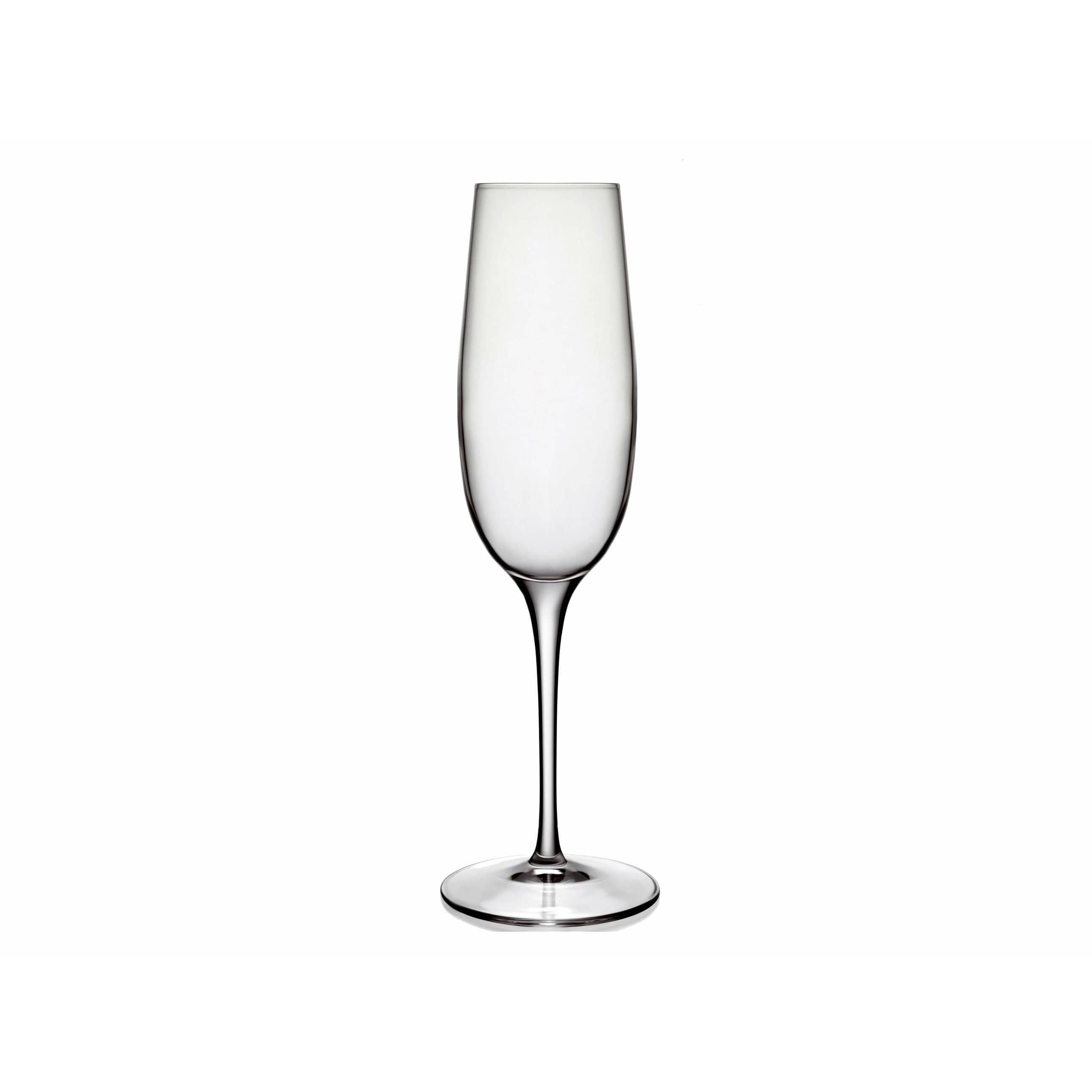 [product_category]-Luigi Bormioli Palace Champagne Glass, Set Of 6-Luigi Bormioli-032622013991-21296-LUI-3