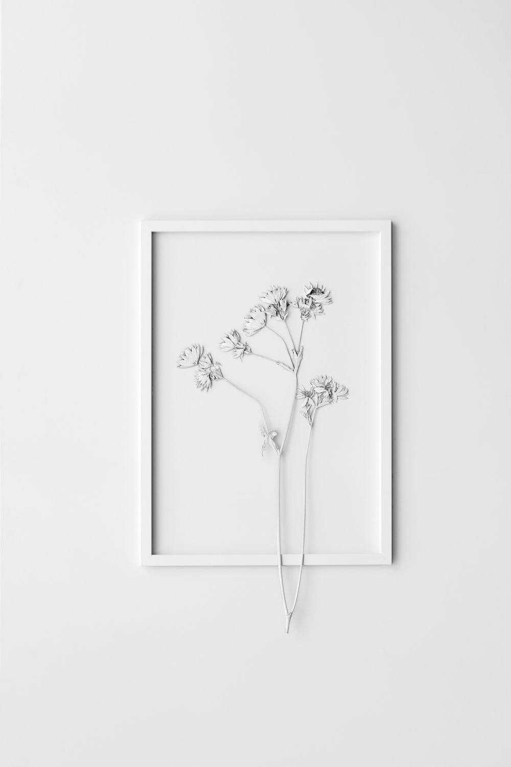 [product_category]-Moebe Frame A5, White-Moebe-5713520000188-FAWA5-MOE-30