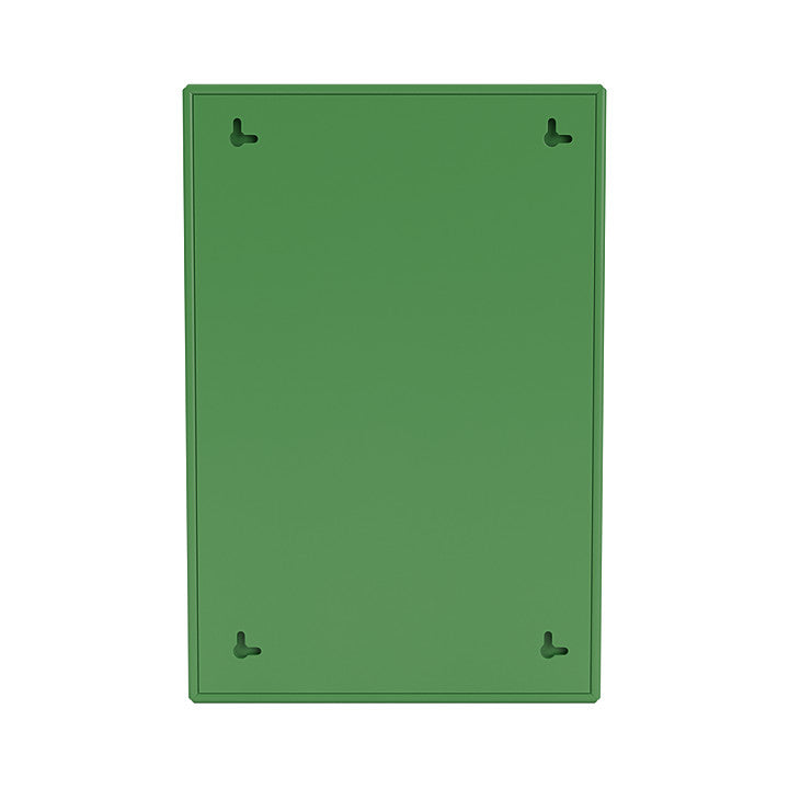 [product_category]-Montana Shelfie Mirror With Shelf Frame, Parsley Green-Montana Furniture-5715288153649-0SHELFIE-152-04-MON-4