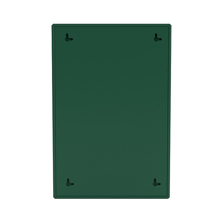 [product_category]-Montana Shelfie Mirror With Shelf Frame, Pine Green-Montana Furniture-5715288153526-0SHELFIE-136-04-MON-4