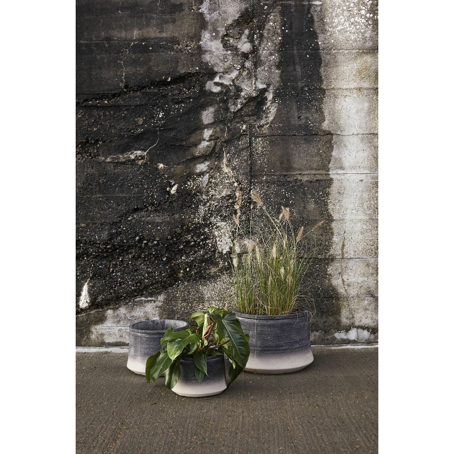 [product_category]-Muubs Kanji Vessel, Low 21 Cm-Muubs-5711973039847-9240000105-MUU-6