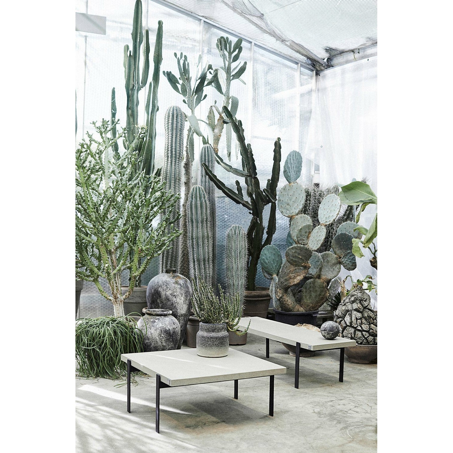 [product_category]-Muubs Rush Coffee Table, 80cm-Muubs-5711973035146-9390000107-MUU-3