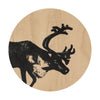 Muurla Coaster, soba