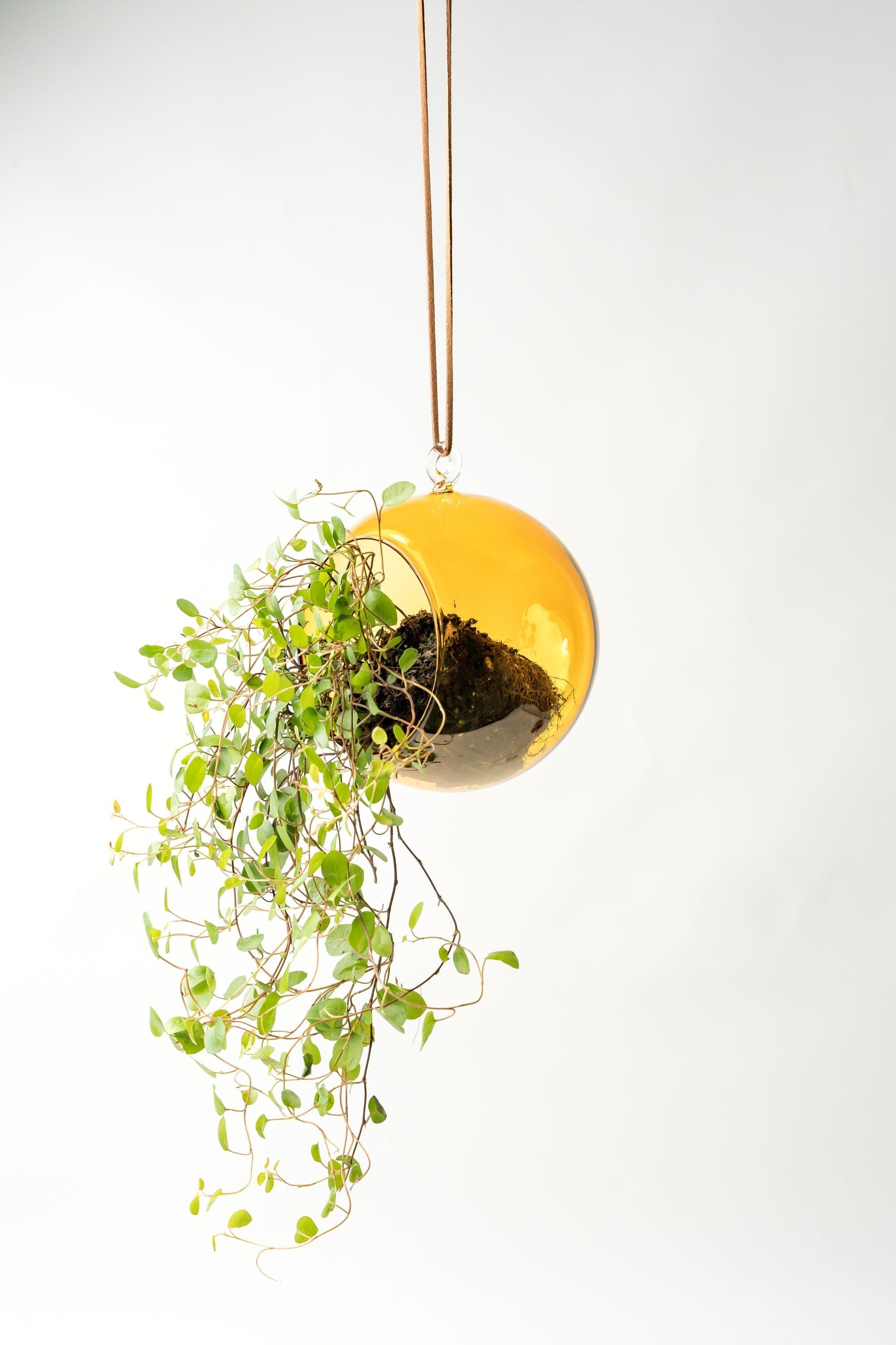[product_category]-Muurla Decoration Ball Decoration Ball, Amber-Muurla-6416114966080-930-120-05-MUU-10