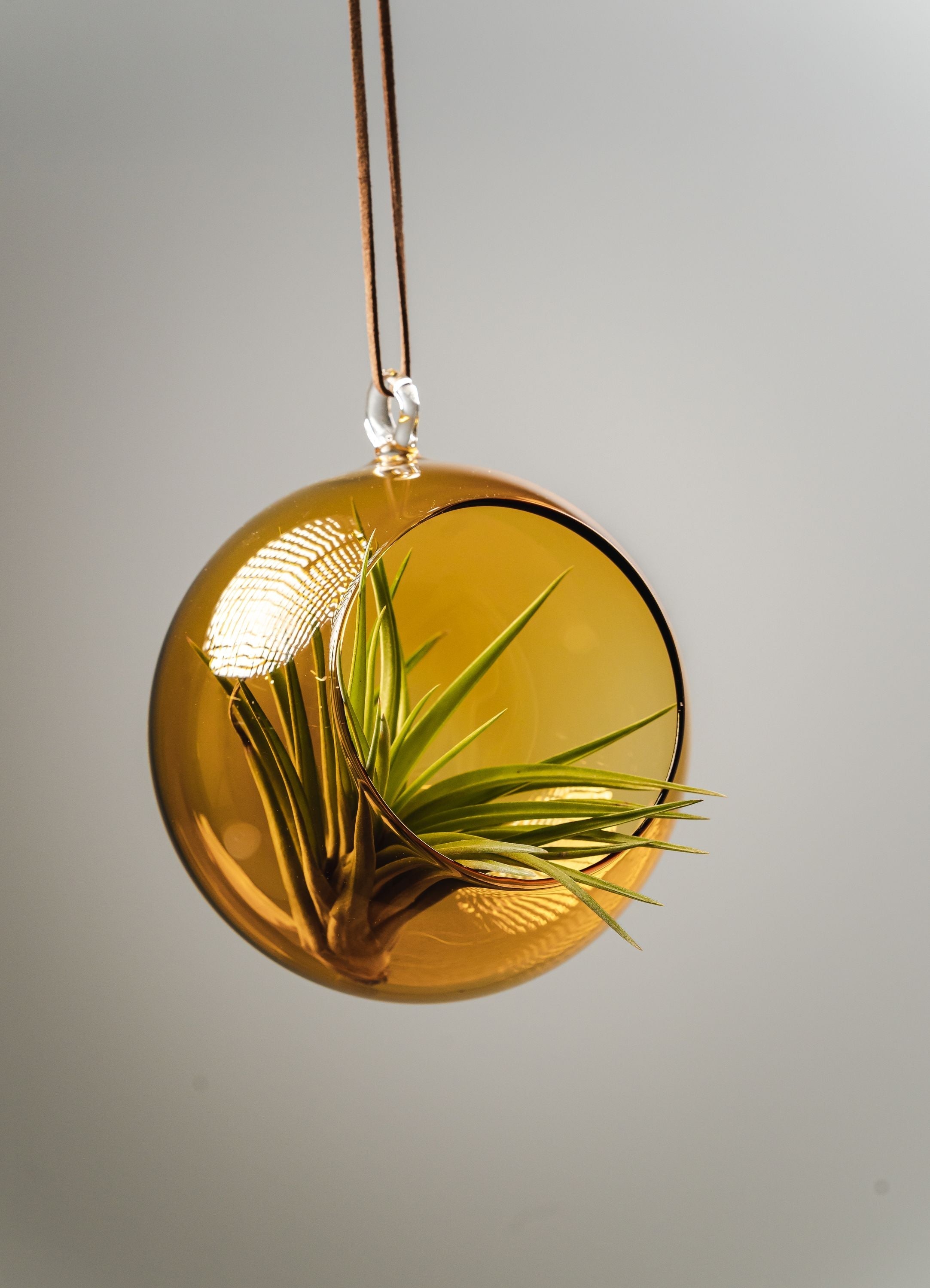 [product_category]-Muurla Decoration Ball Decoration Ball, Amber-Muurla-6416114966080-930-120-05-MUU-7