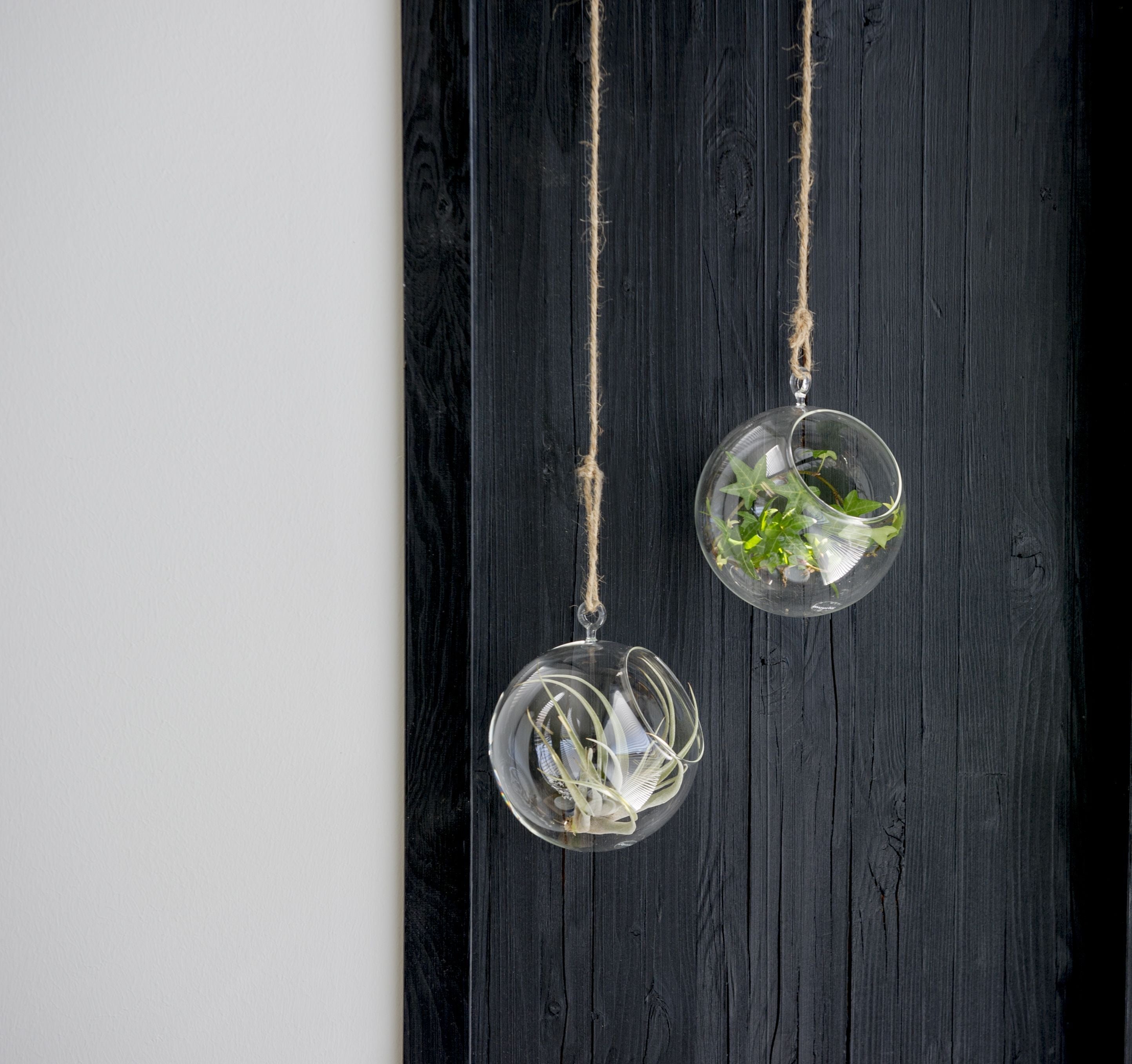 [product_category]-Muurla Decoration Ball Decoration Ball, Amber-Muurla-6416114966080-930-120-05-MUU-8