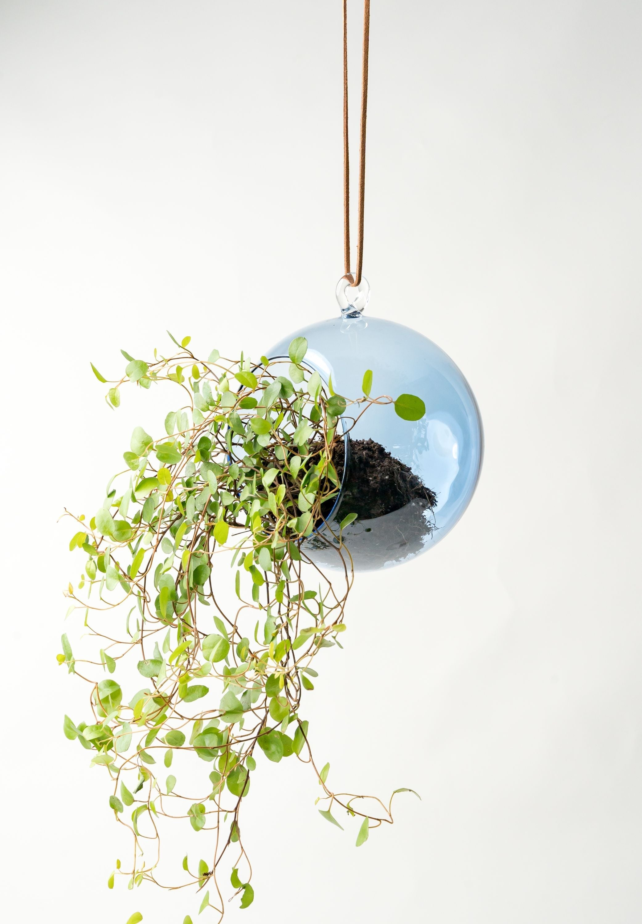 [product_category]-Muurla Decoration Ball Decoration Ball, Blue-Muurla-6416114966097-930-120-06-MUU-12