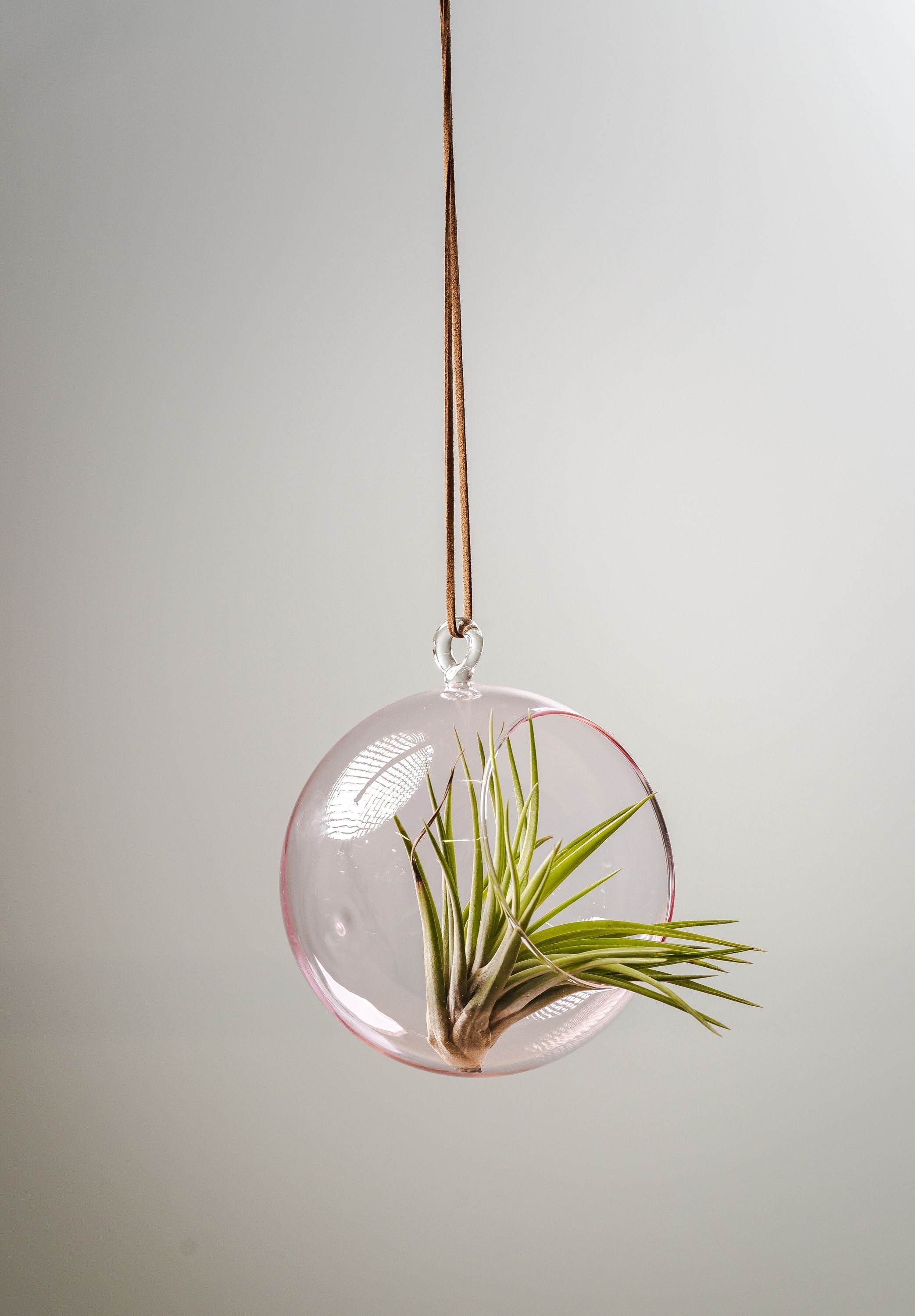 [product_category]-Muurla Decoration Ball Decoration Ball, Clear-Muurla-6416114946266-930-120-00-MUU-10