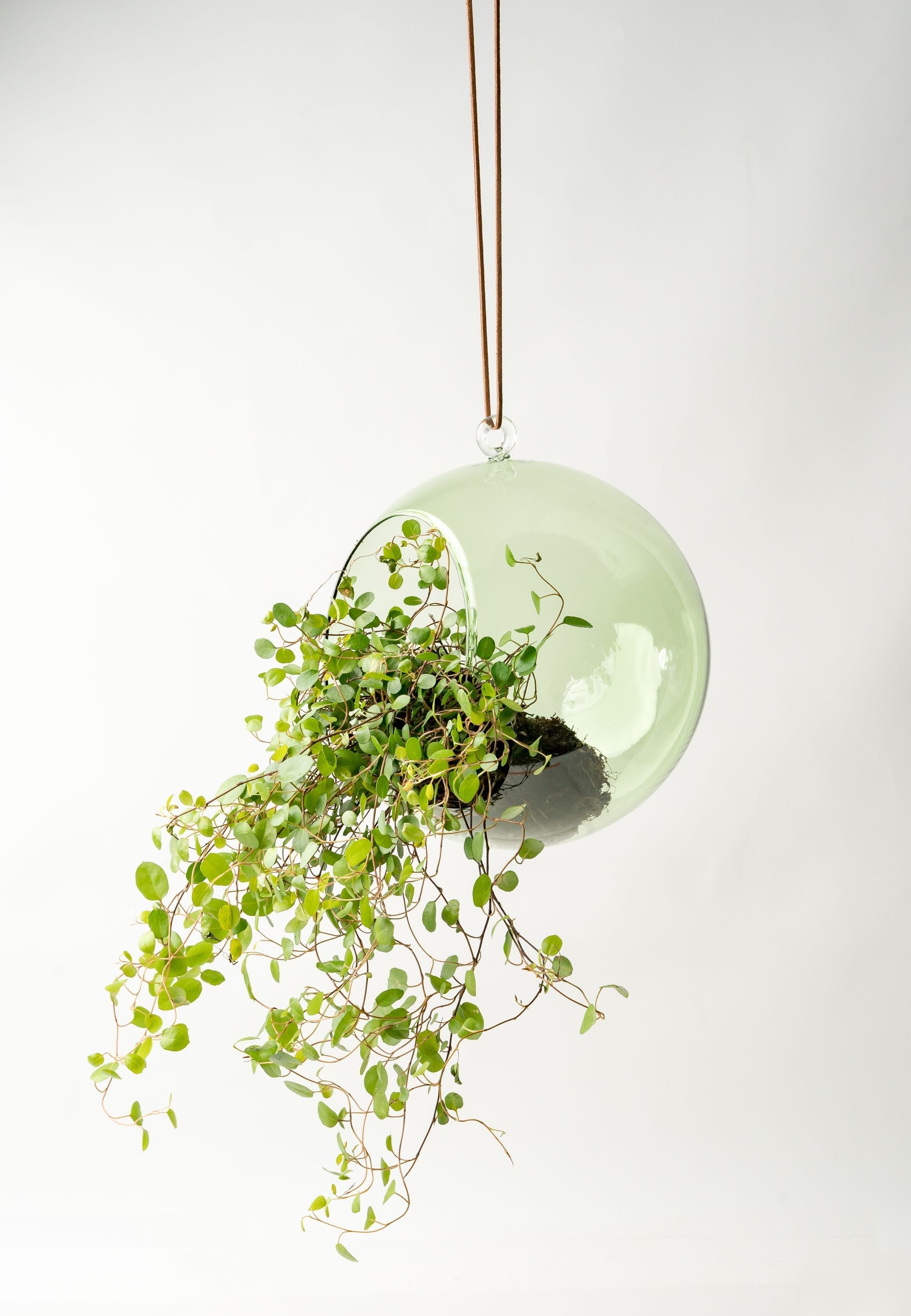 [product_category]-Muurla Decoration Ball Decoration Ball, Green-Muurla-6416114966103-930-120-07-MUU-11