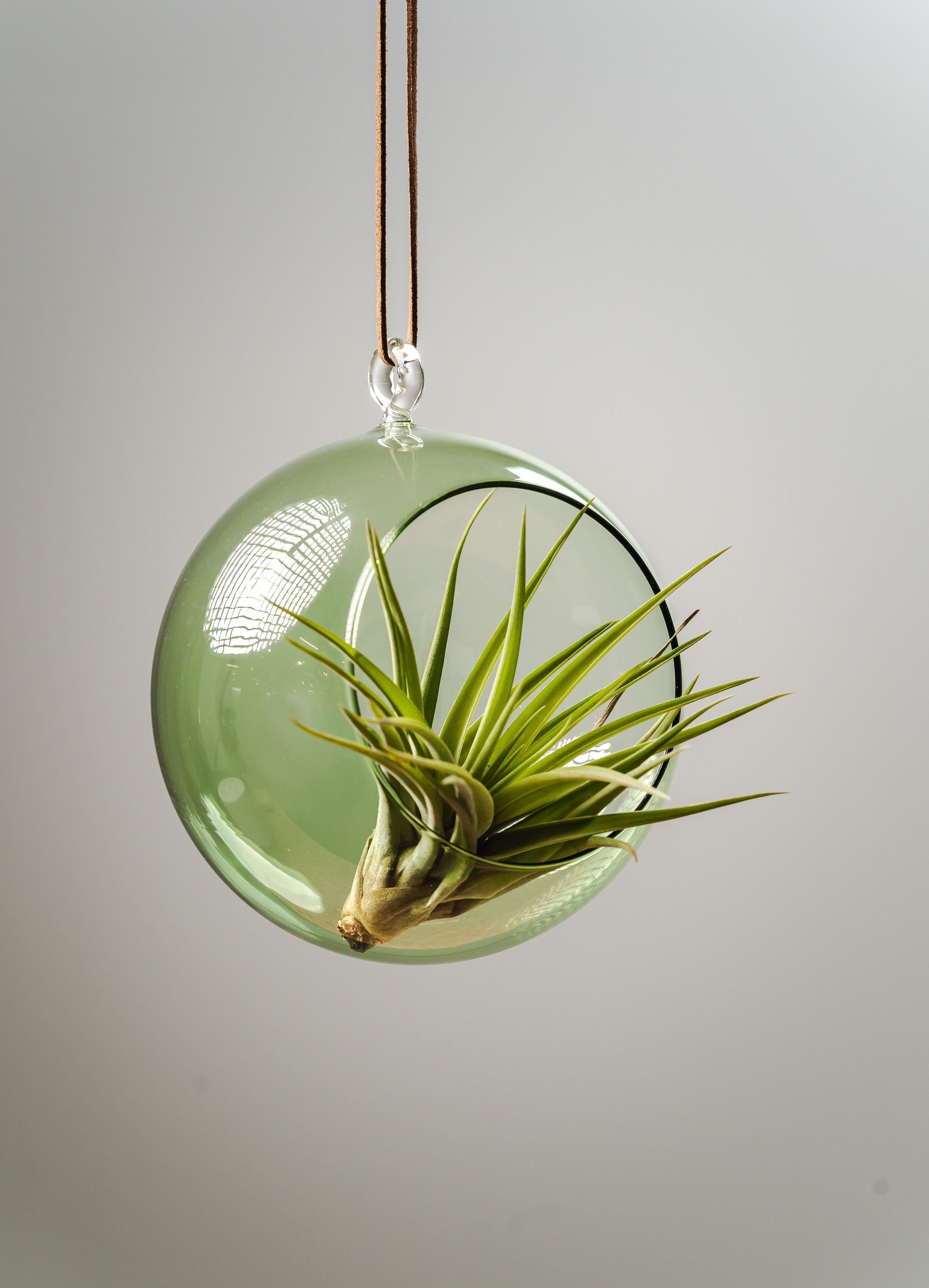 [product_category]-Muurla Decoration Ball Decoration Ball, Green-Muurla-6416114966103-930-120-07-MUU-8
