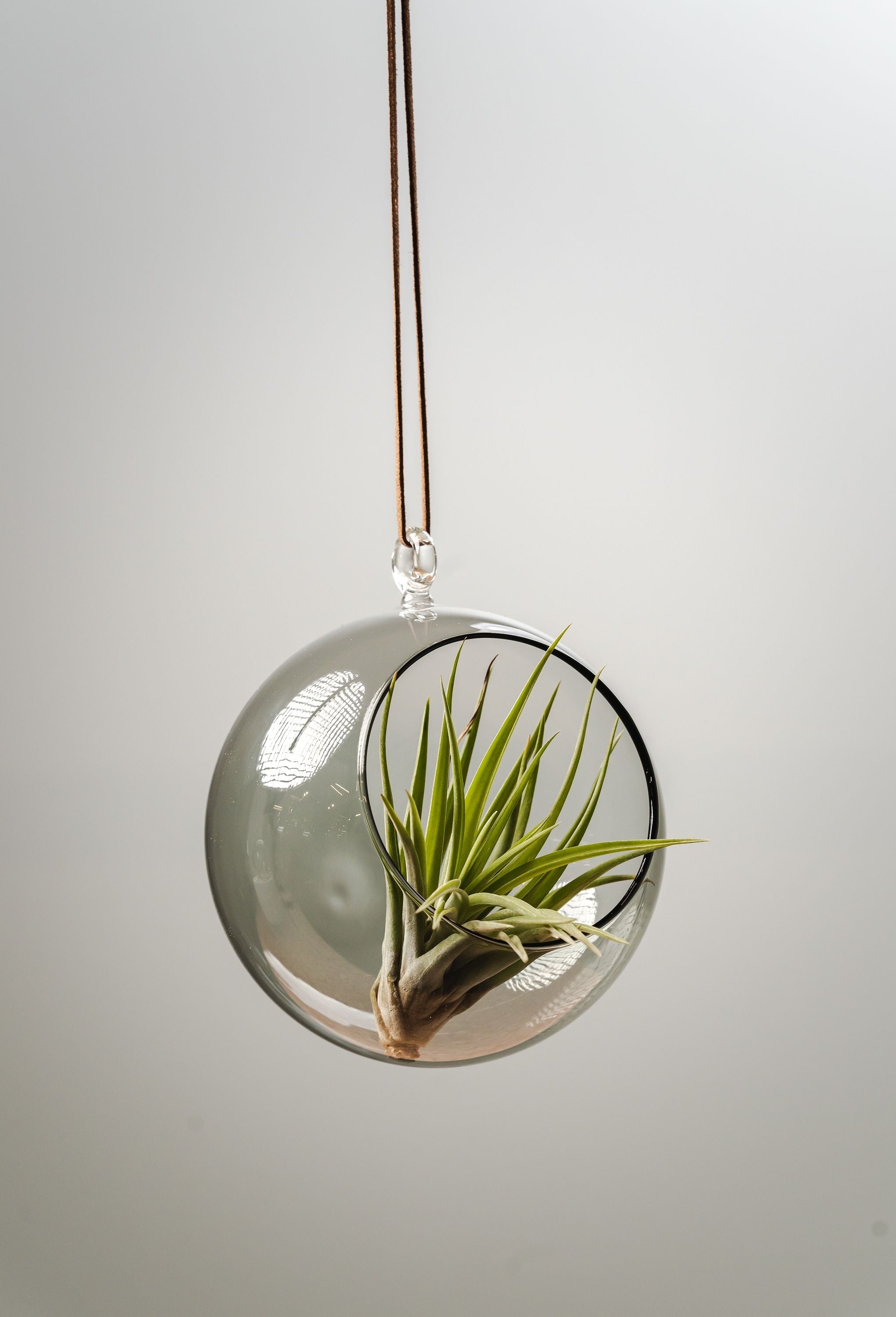 [product_category]-Muurla Decoration Ball Decoration Ball, Grey-Muurla-6416114966066-930-120-03-MUU-7