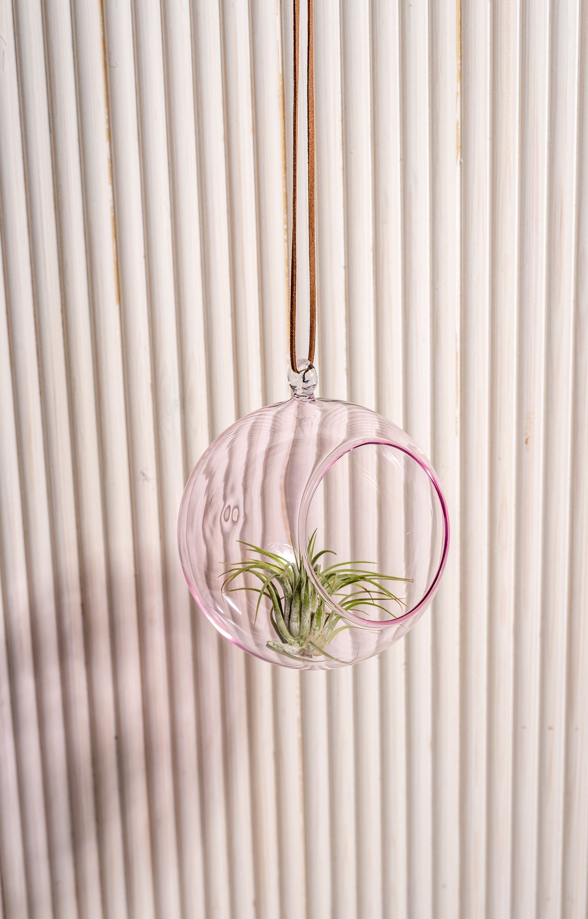 [product_category]-Muurla Decoration Ball Decoration Ball, Pink-Muurla-6416114966073-930-120-04-MUU-12