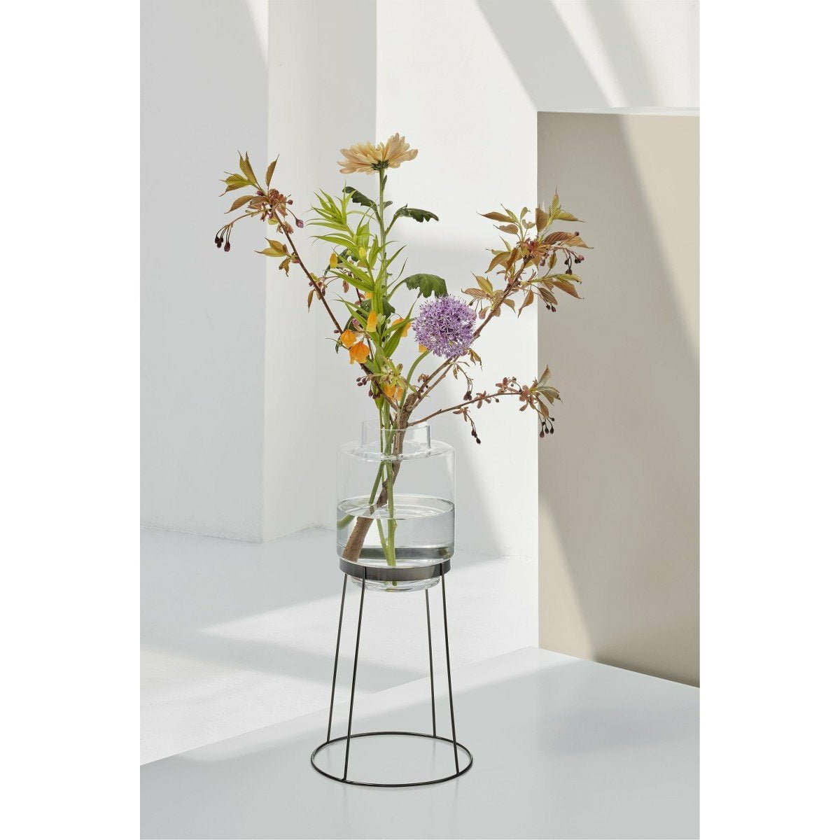 [product_category]-MV-10066-PUI-Puik-MV-10066-PUI-5