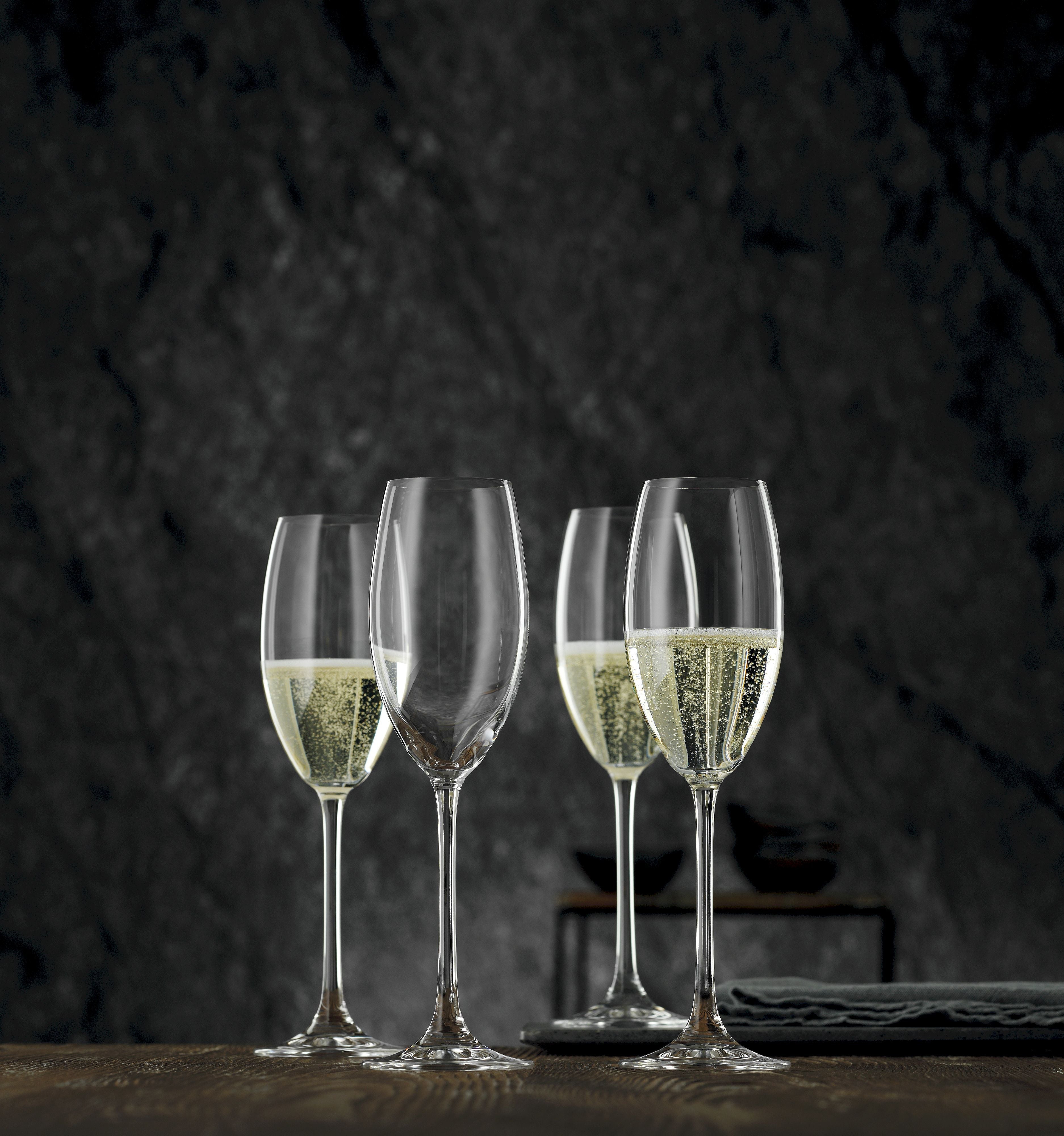 [product_category]-Nachtmann Vivendi Premium Champagne Goblet 272 Ml, Set Of 4-Nachtmann-4003762213073-0085695-0-NAC-9