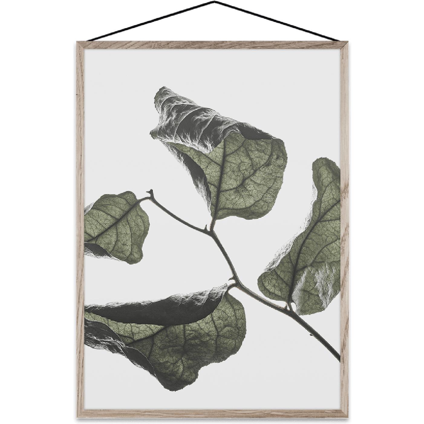 [product_category]-Paper Collective Floating Leaves 03 Map, A2-Paper Collective-5713450005253-08140-PAP-1