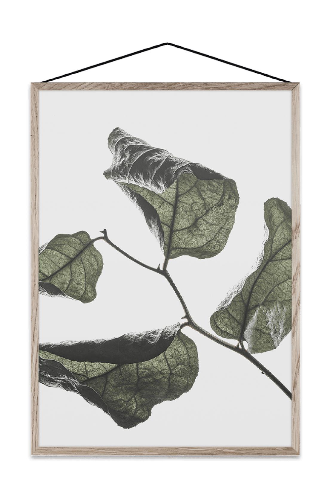 [product_category]-Paper Collective Floating Leaves 03 Map, A5-Paper Collective-5713450003822-08119-PAP-1