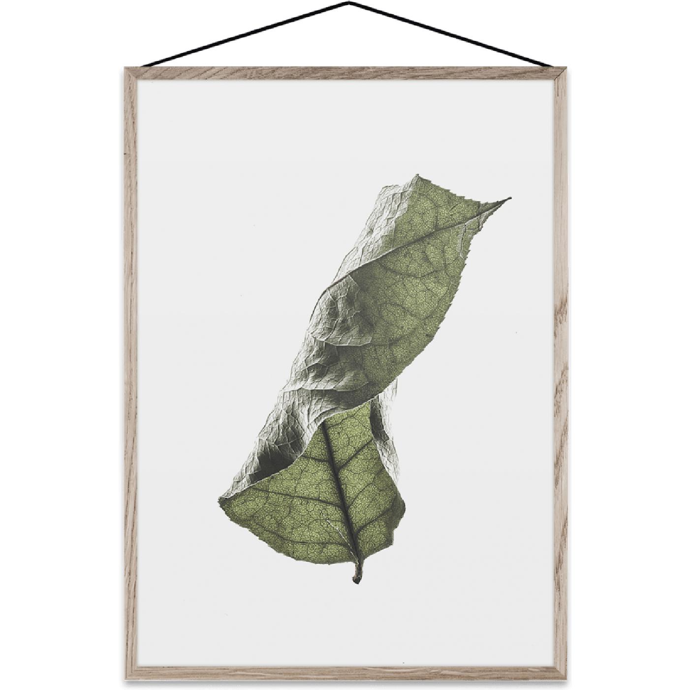 [product_category]-Paper Collective Floating Leaves 04 Map, A3-Paper Collective-5713450003877-08124-PAP-1