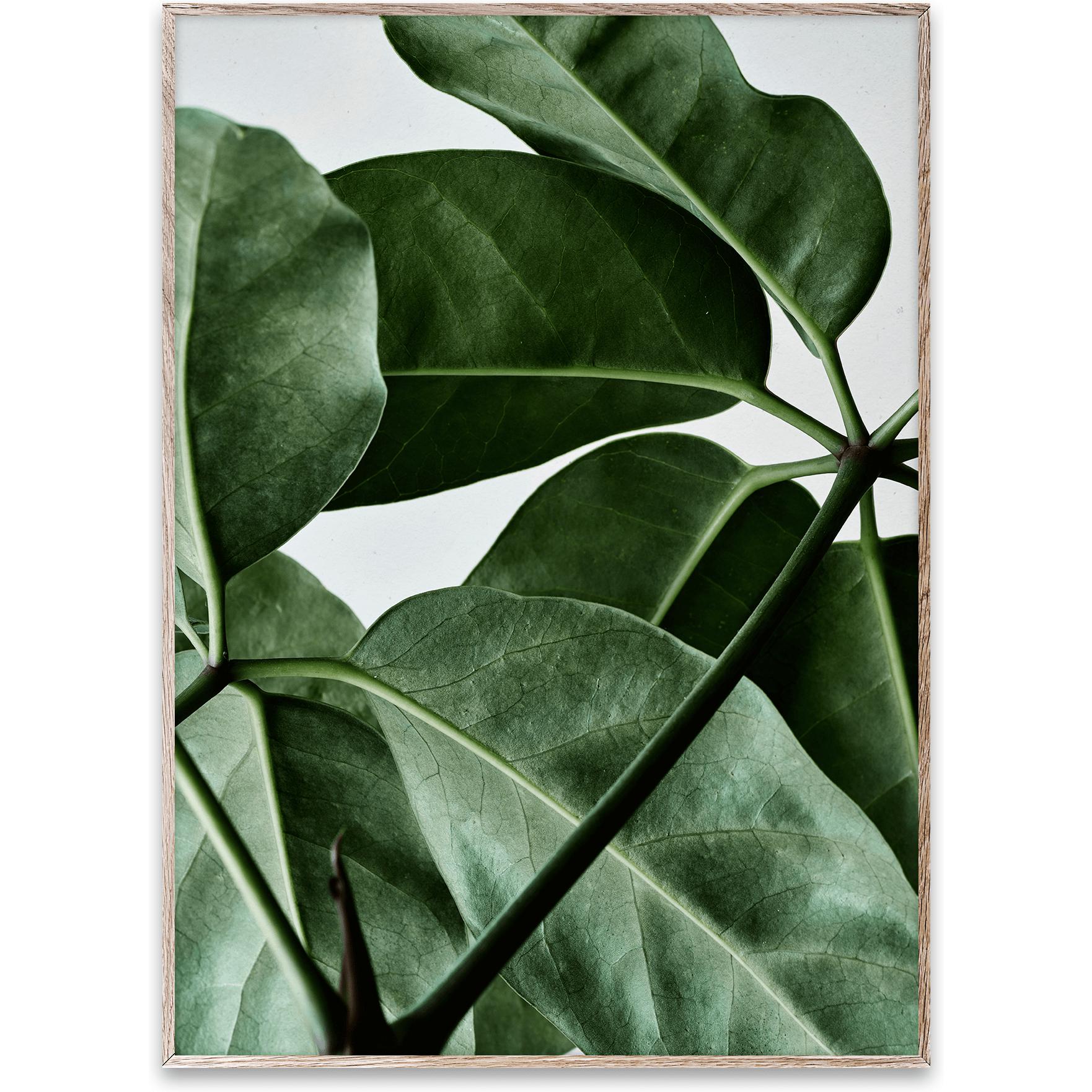 [product_category]-Paper Collective Green Home 01 Poster, 30x40 Cm-Paper Collective-5713450004690-09118-PAP-1