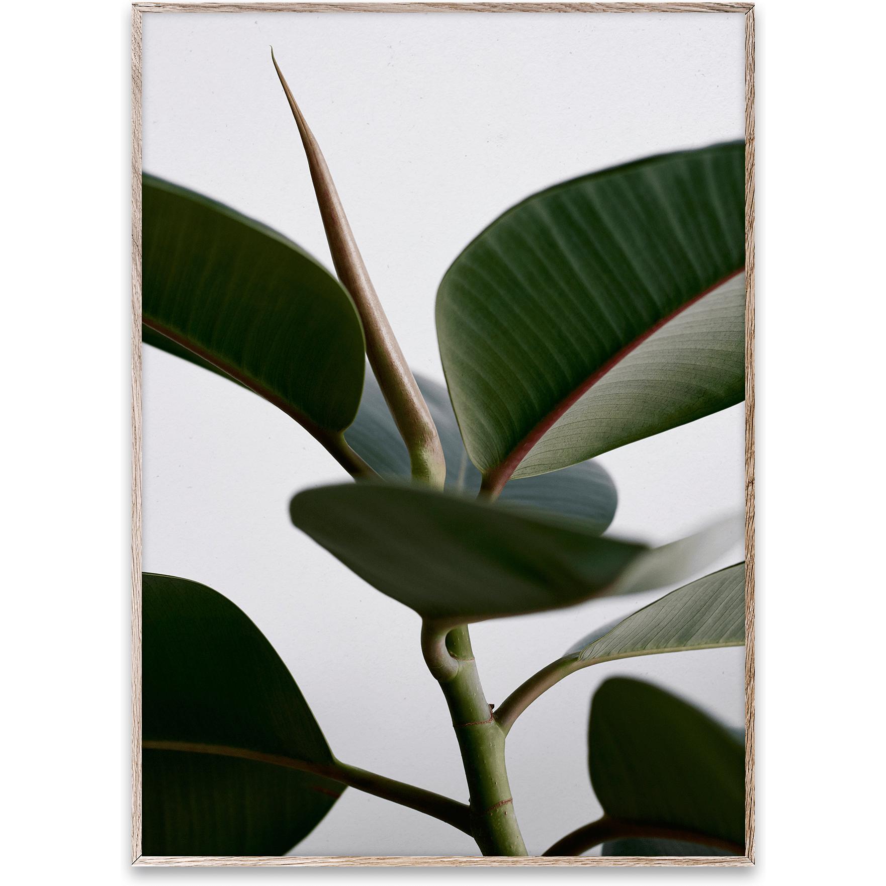 [product_category]-Paper Collective Green Home 02 Poster, 30x40 Cm-Paper Collective-5713450004706-09119-PAP-1