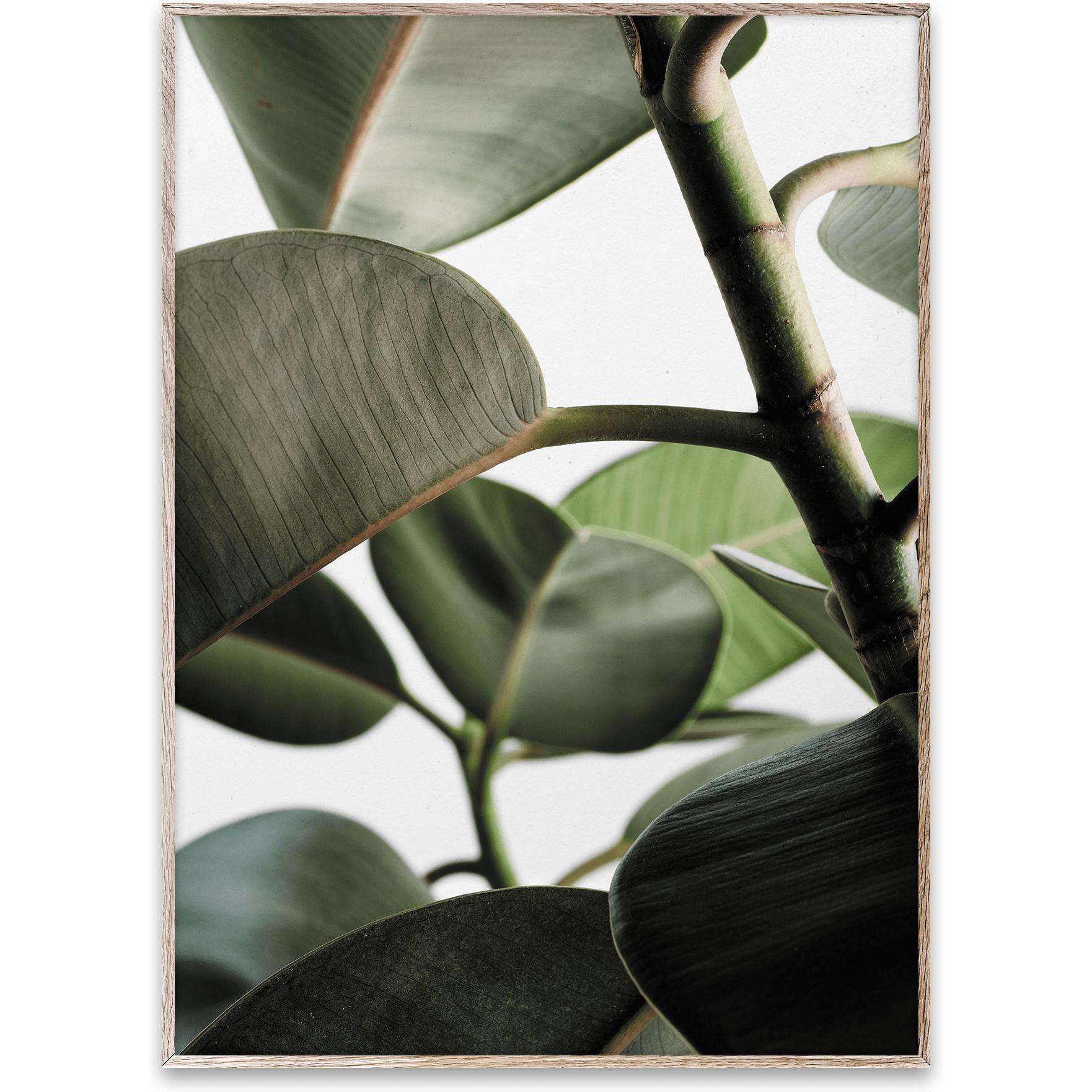 [product_category]-Paper Collective Green Home 03 Poster, 30x40 Cm-Paper Collective-5713450004584-09107-PAP-1