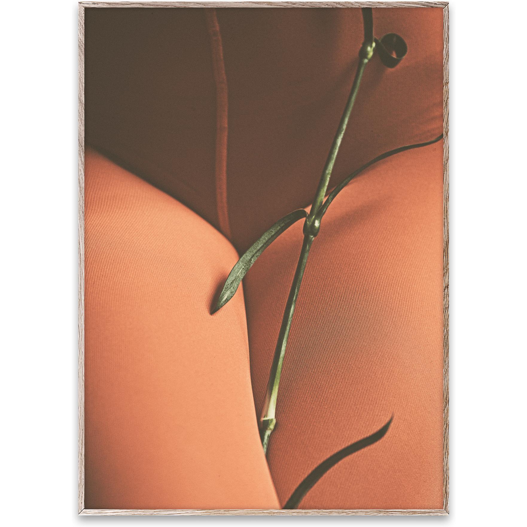 [product_category]-Paper Collective Hold Tight Poster, 30x40 Cm-Paper Collective-5713450006663-11147-PAP-1