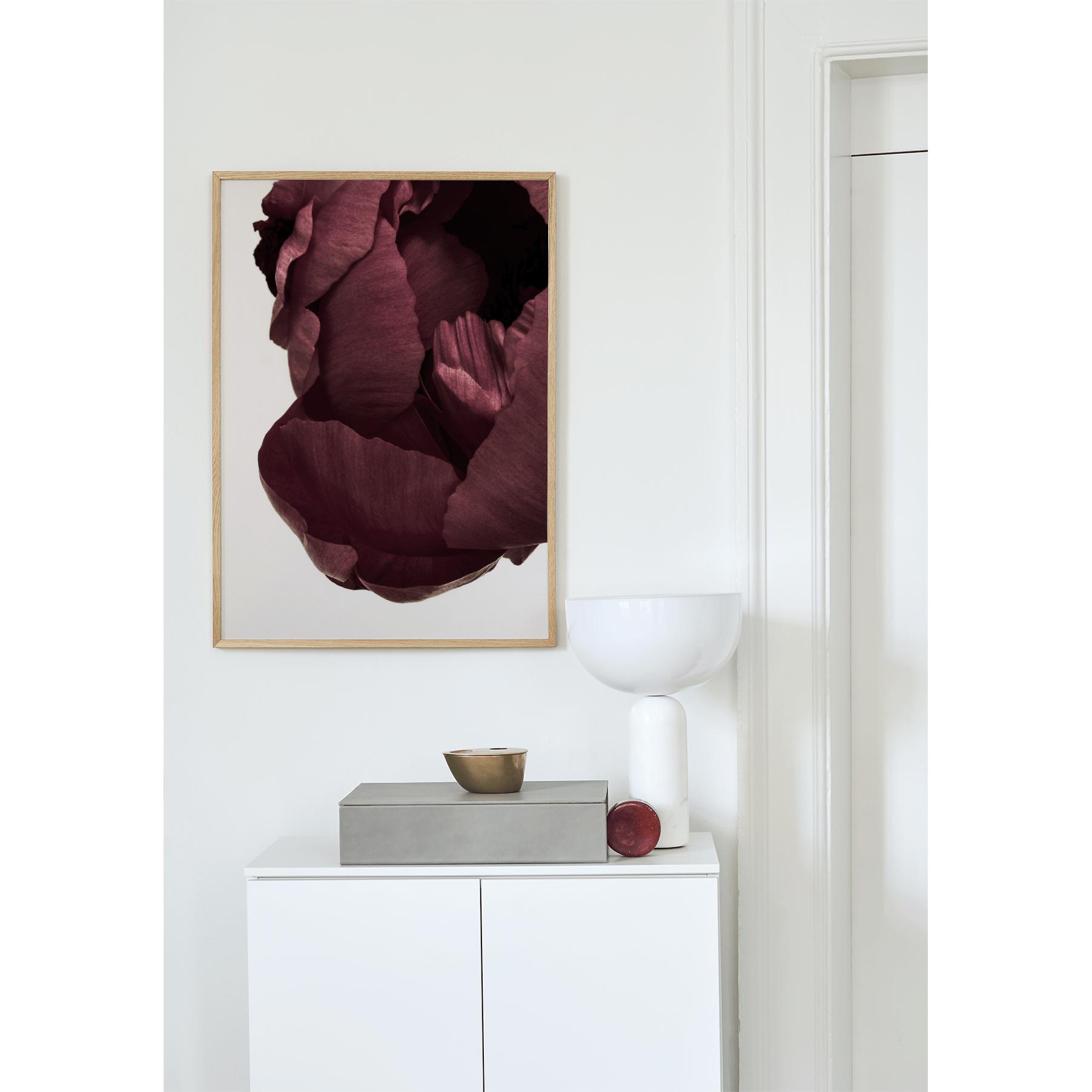 [product_category]-Paper Collective Peonia 02 Poster, 50x70 Cm-Paper Collective-5713450004553-09104-PAP-2