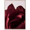  Peonia 03 plakát 50x70 cm